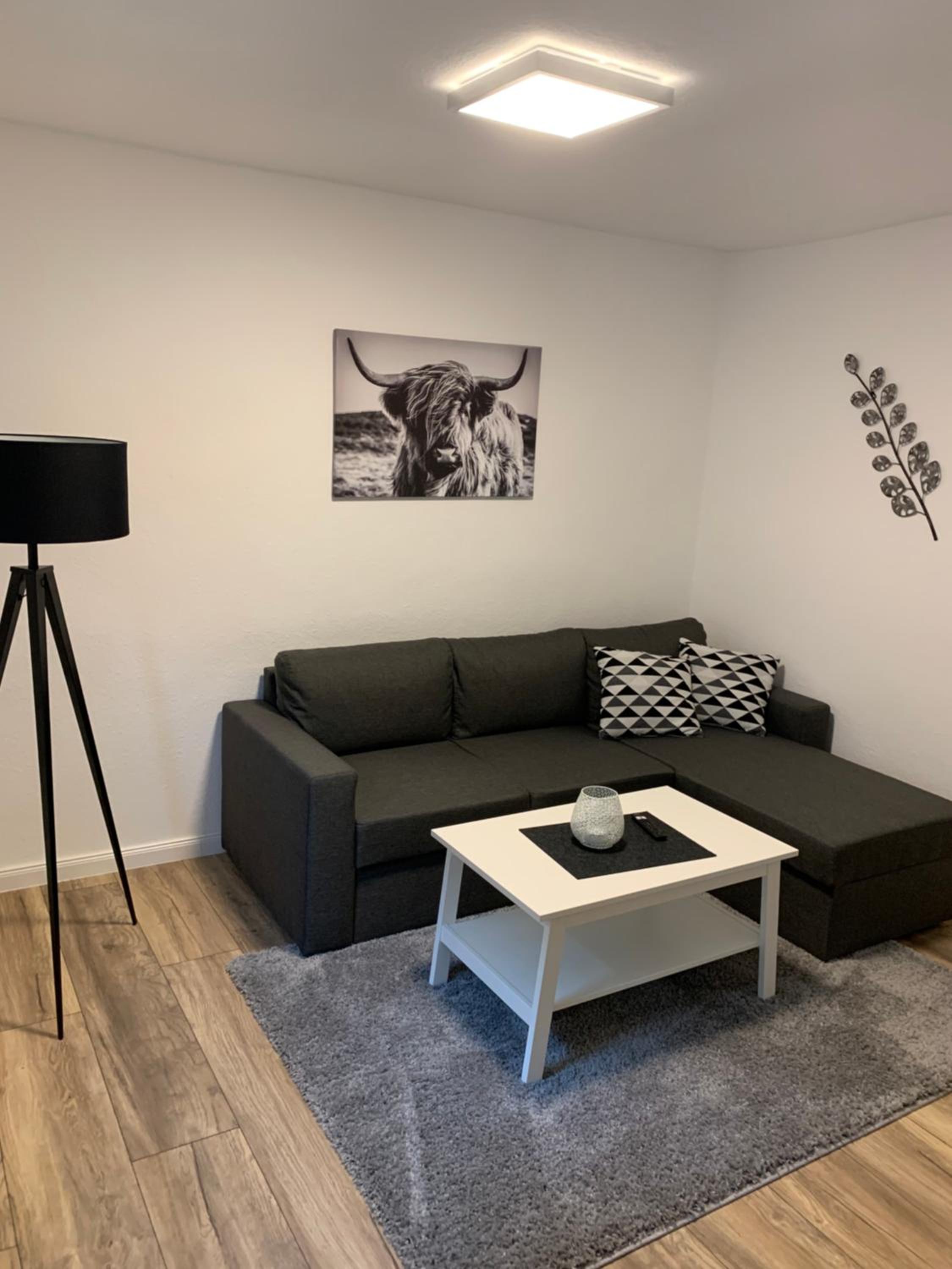 One-Bedroom Apartment photo 3