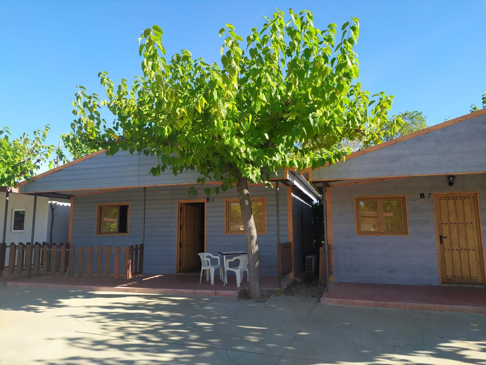 Deluxe Wooden Cabin photo 3