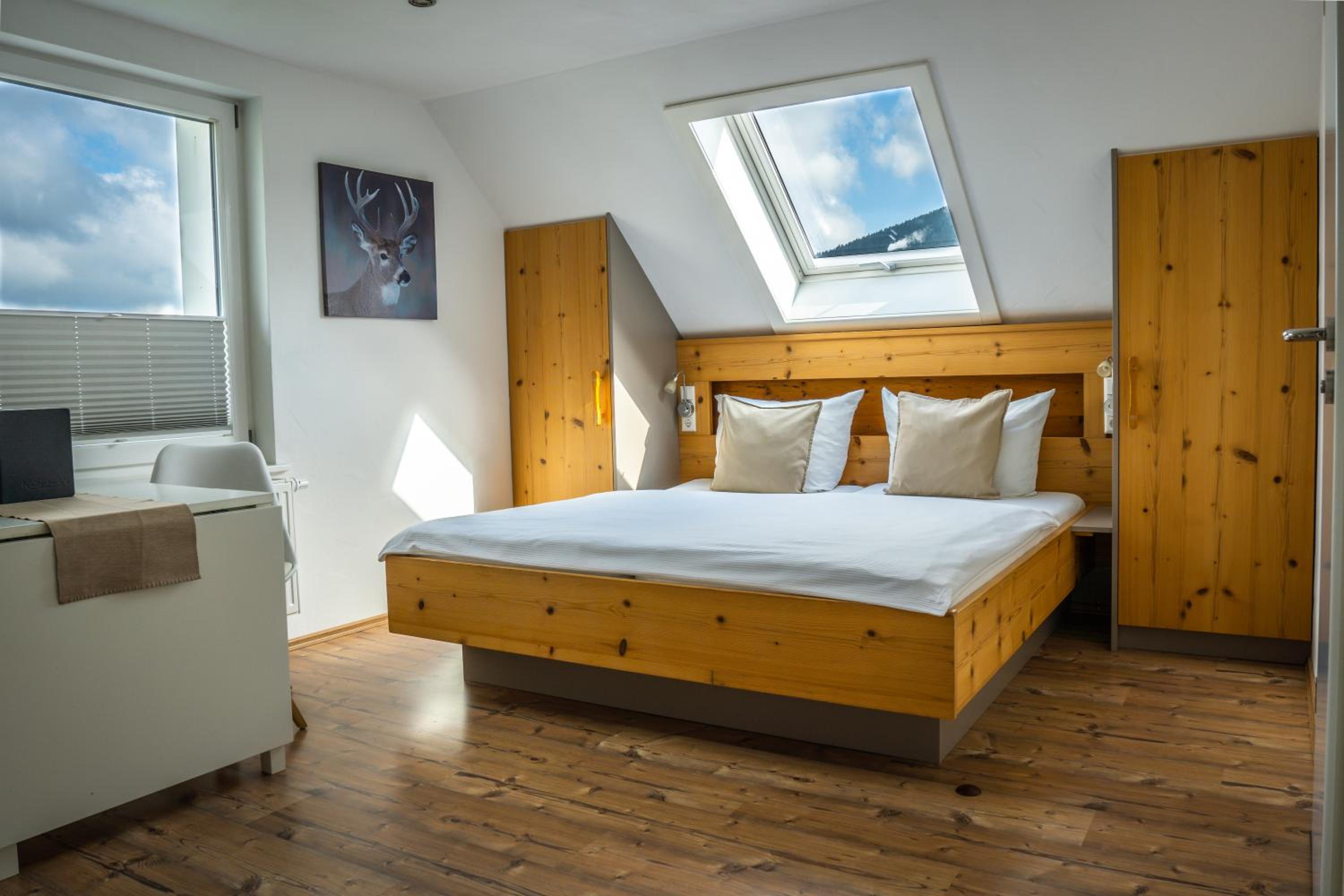 Small studio with kitchenette - Photo 1