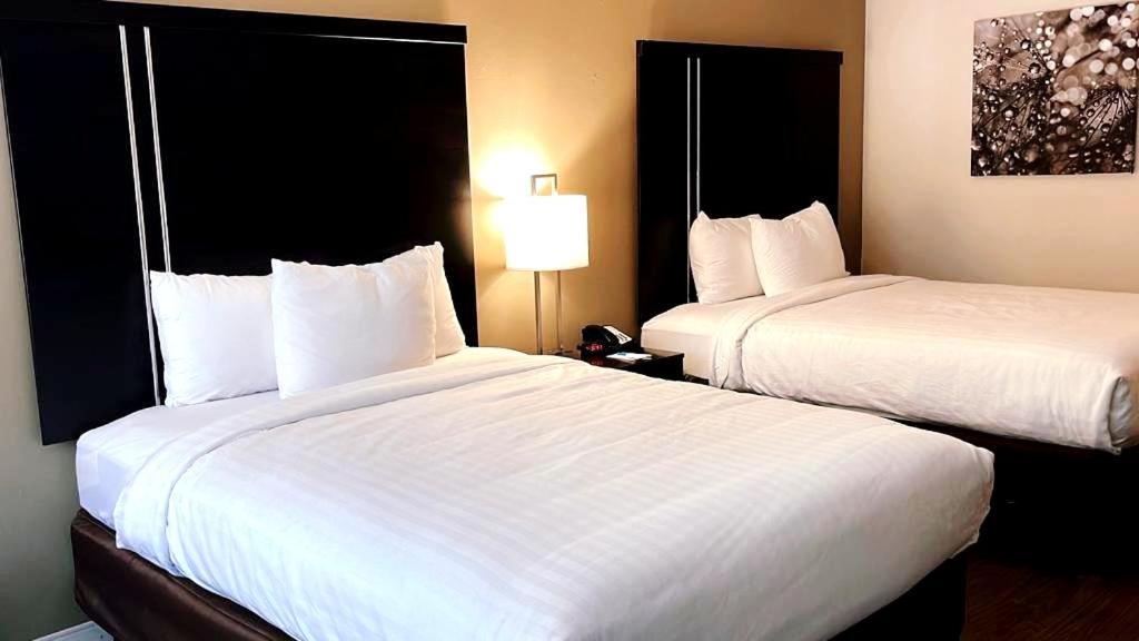 Queen Room with Two Queen Beds - Accessible/Non Smoking - Photo 1