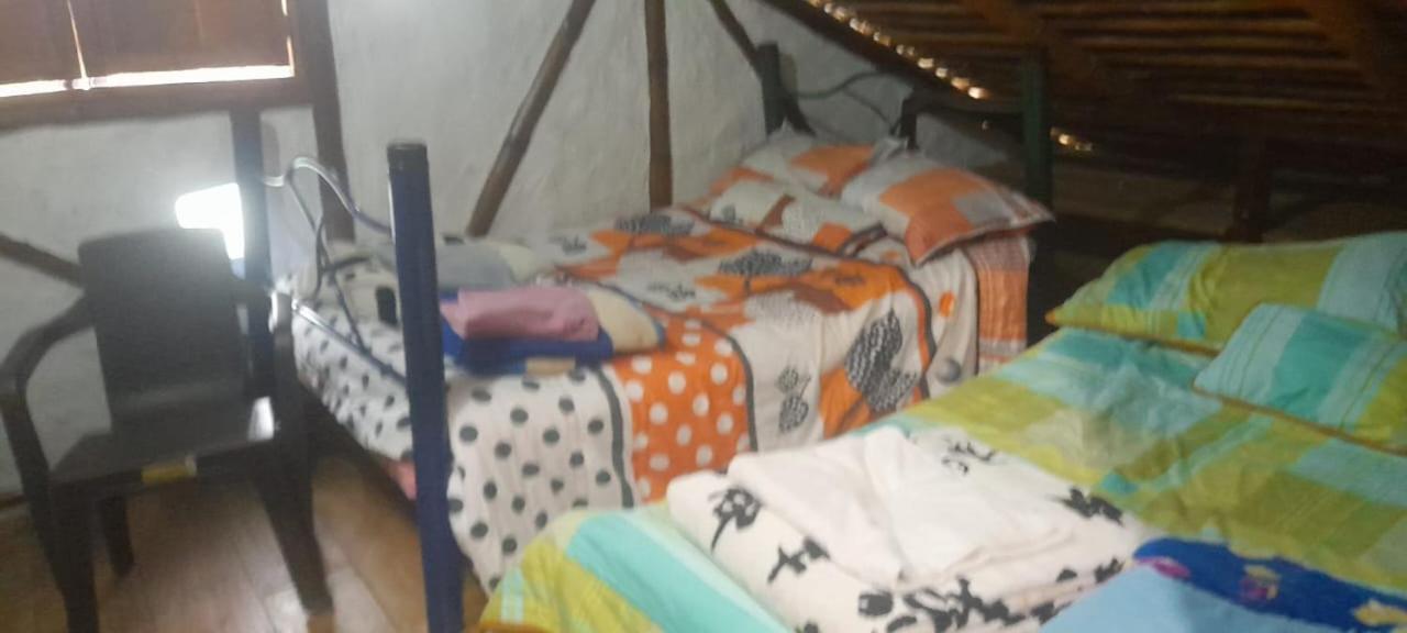 Twin Room photo 1