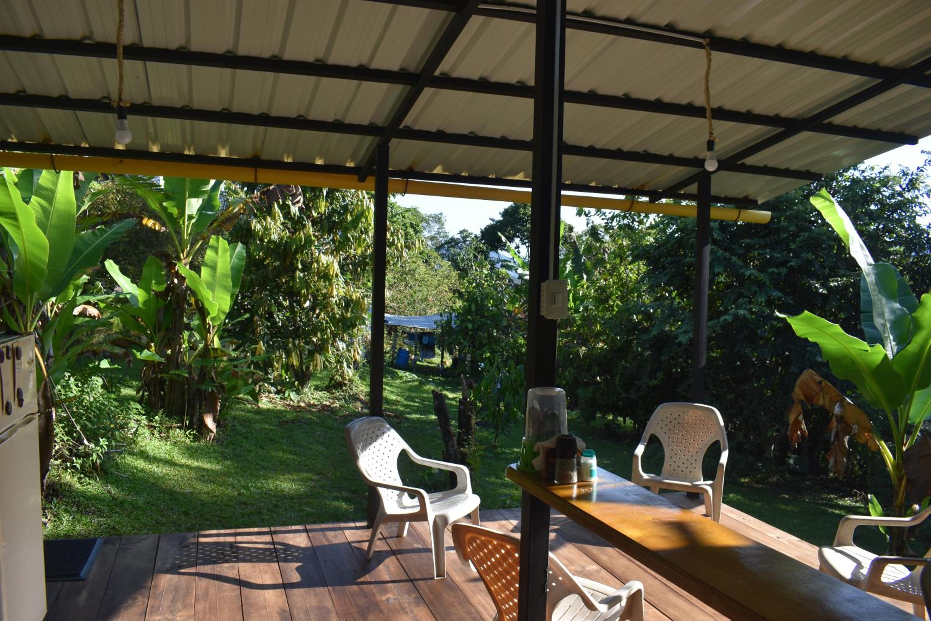 Double Room with Balcony photo 2