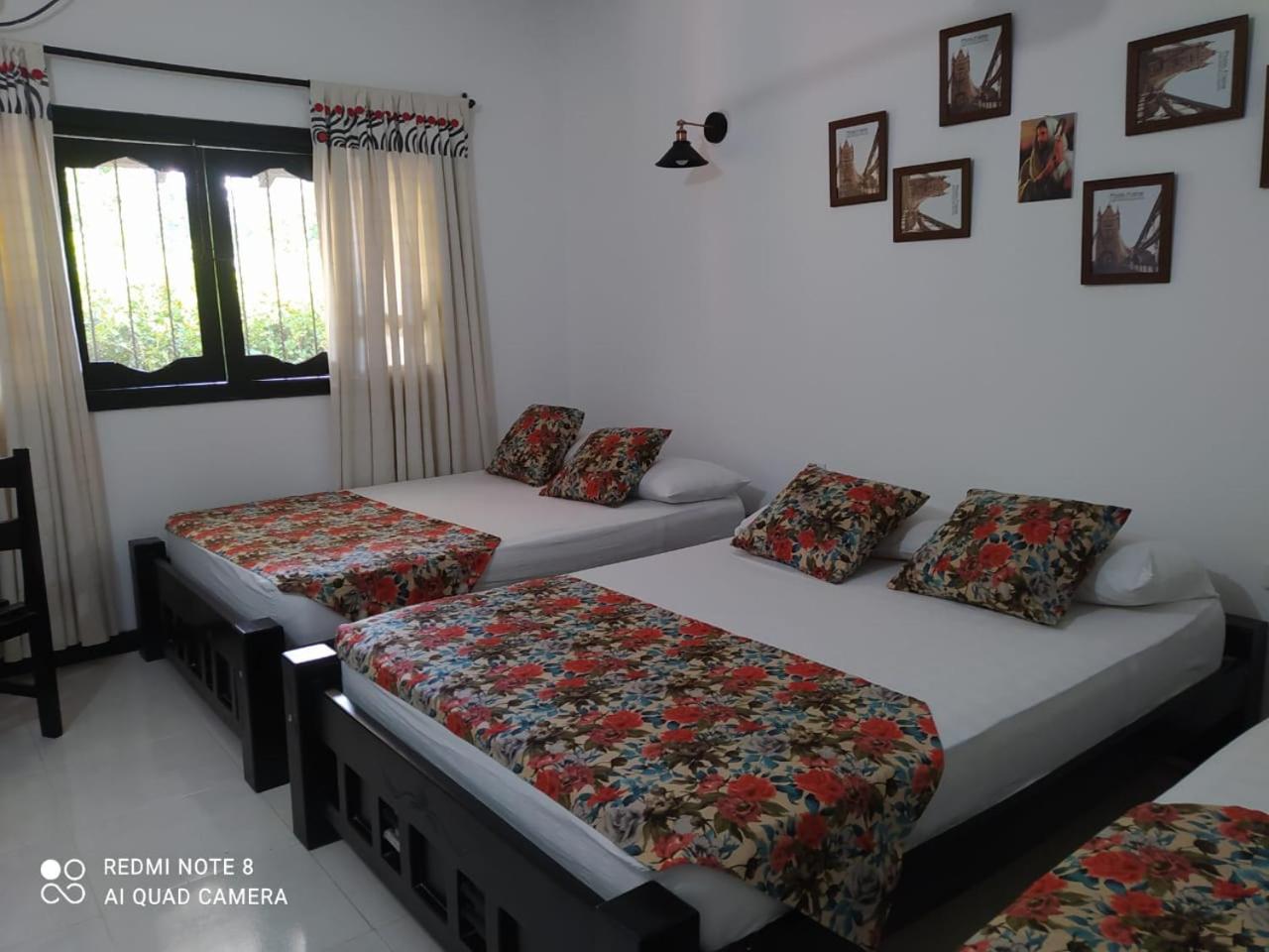 Family Room with Garden View photo 3