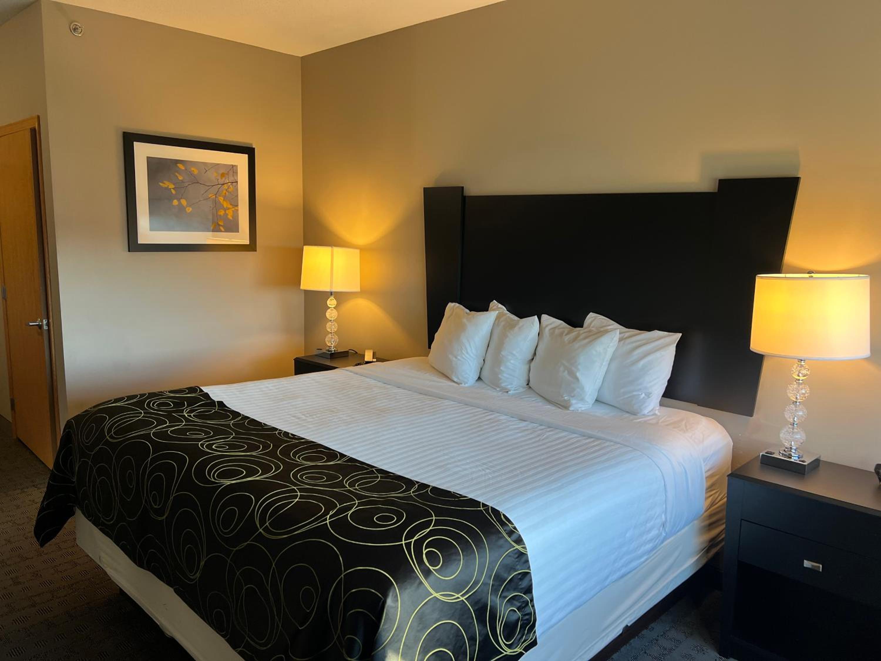 King Room photo 1