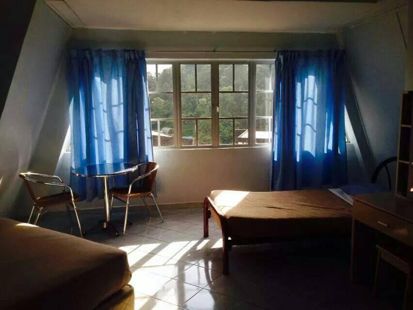 Apartment - Photo 23