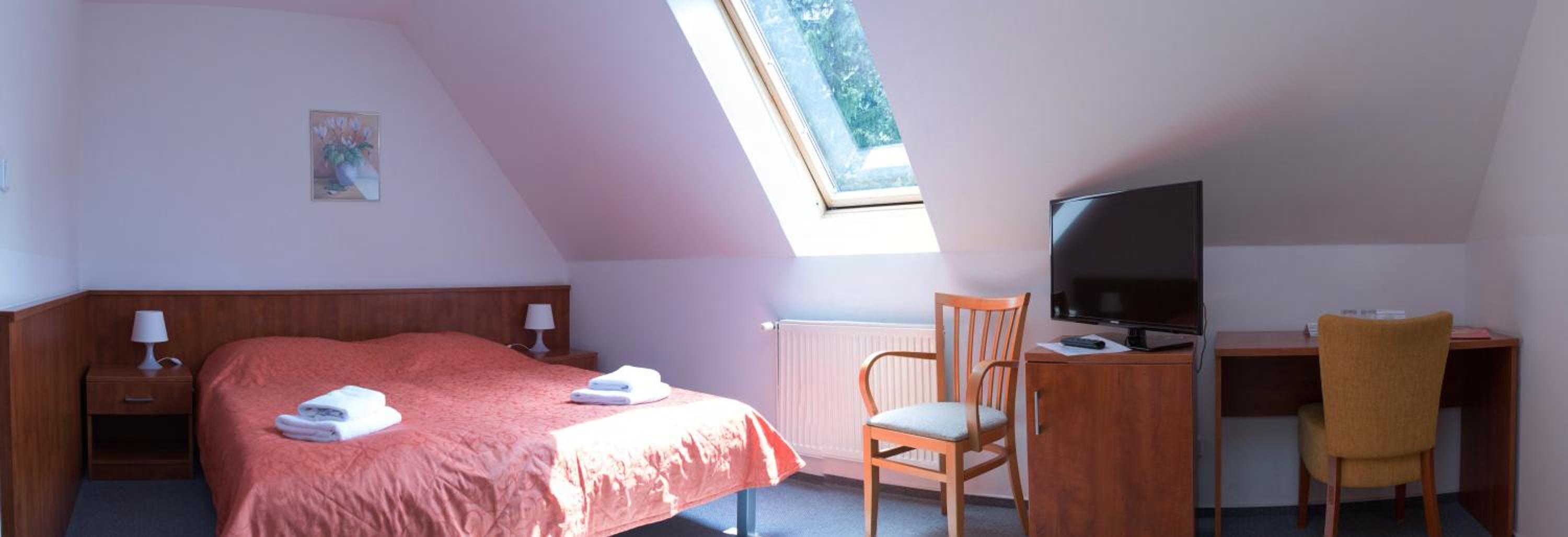 Double or Twin Room photo 3
