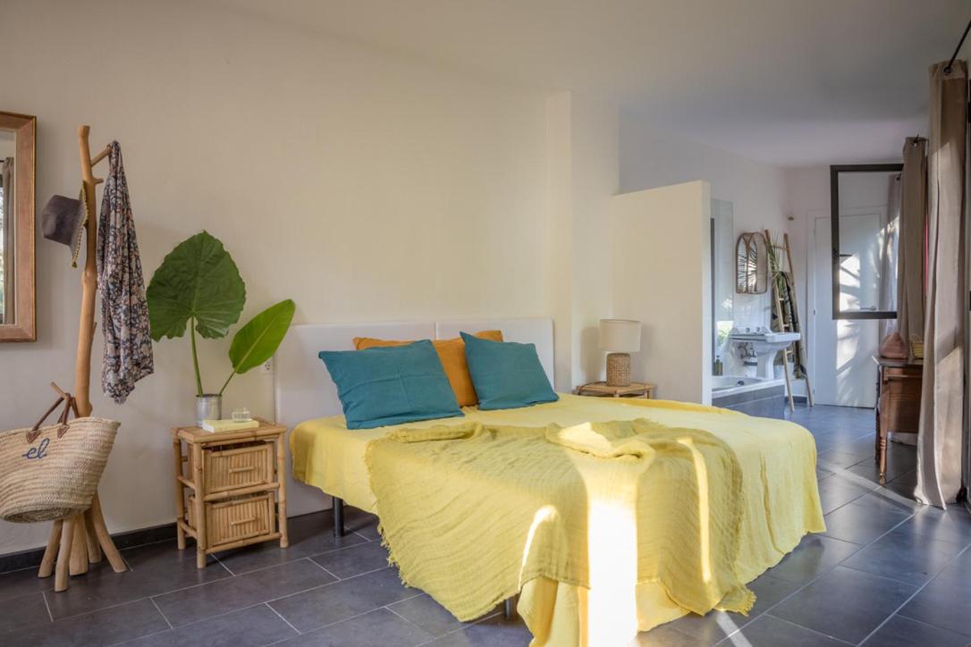 Suite con Terraza