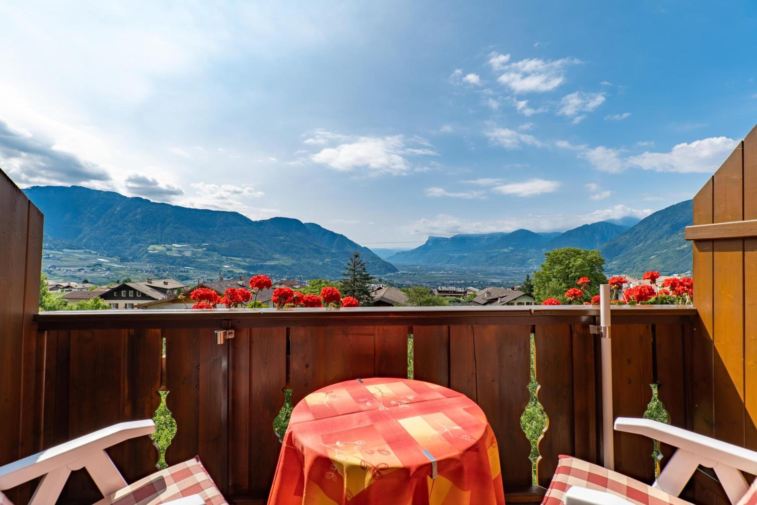 Superior One-Bedroom Apartment with Balcony photo 2