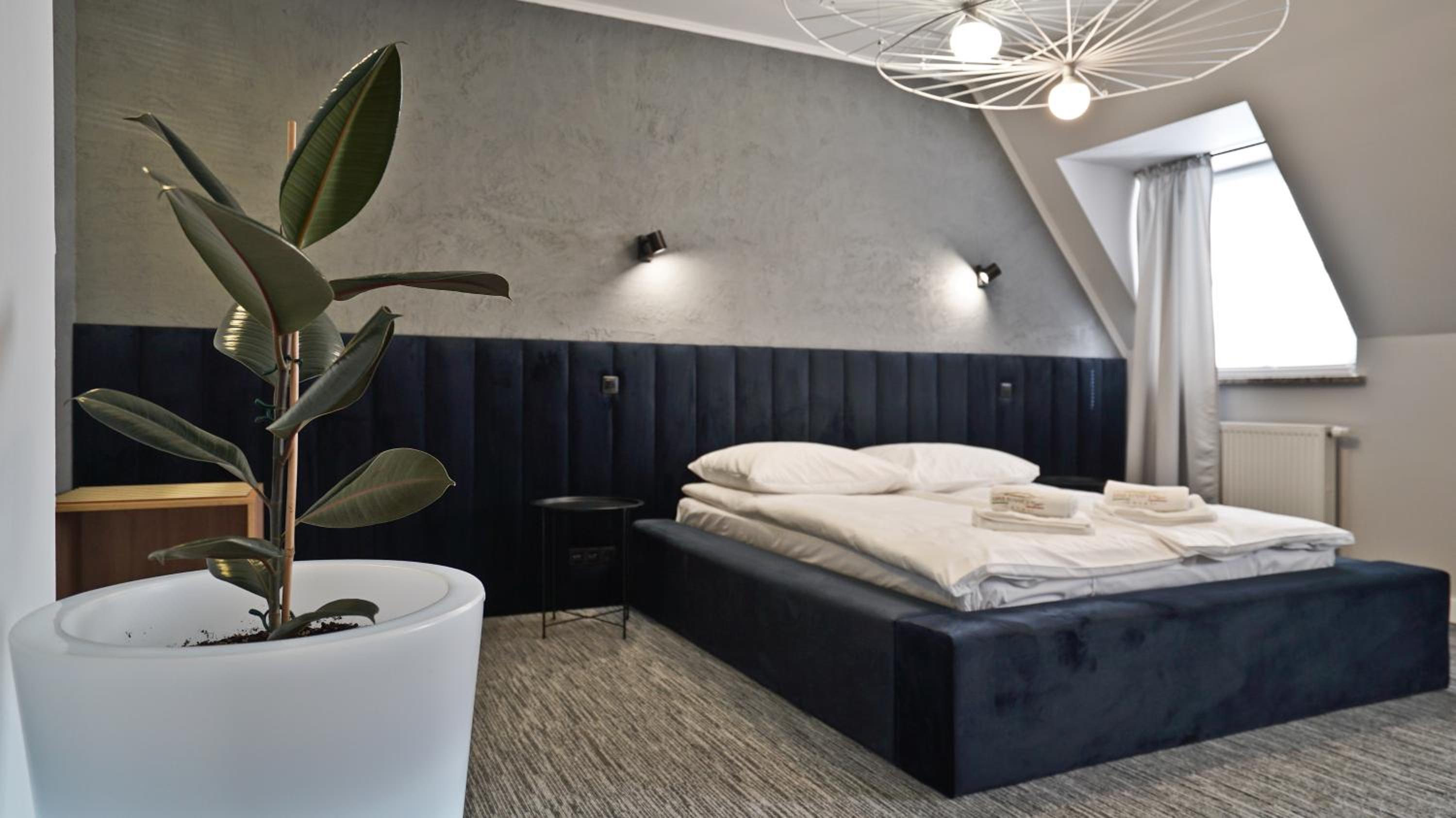 Deluxe Room photo 3