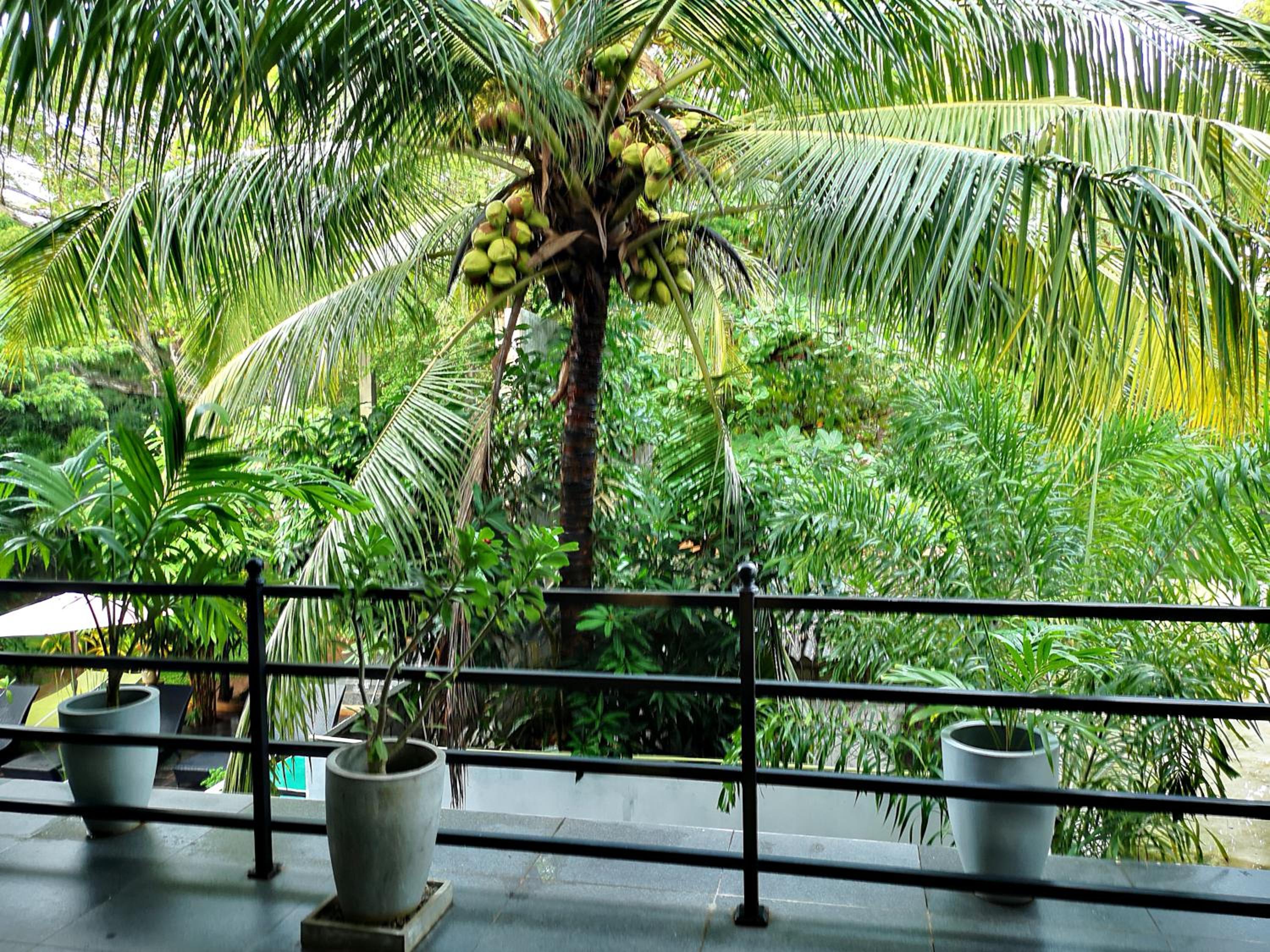 Deluxe Double Room with Balcony photo 3