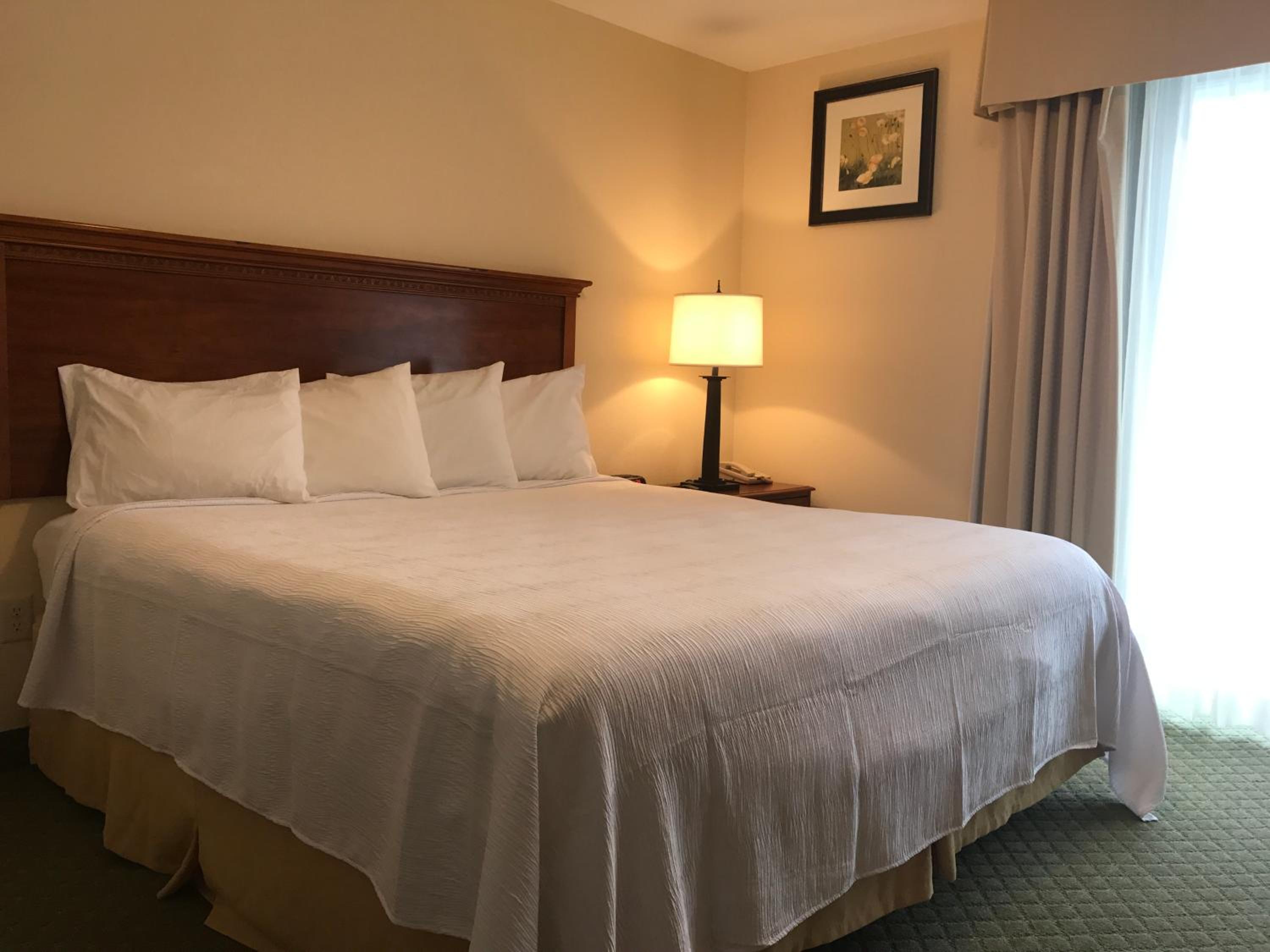 Deluxe King Suite - Photo 4