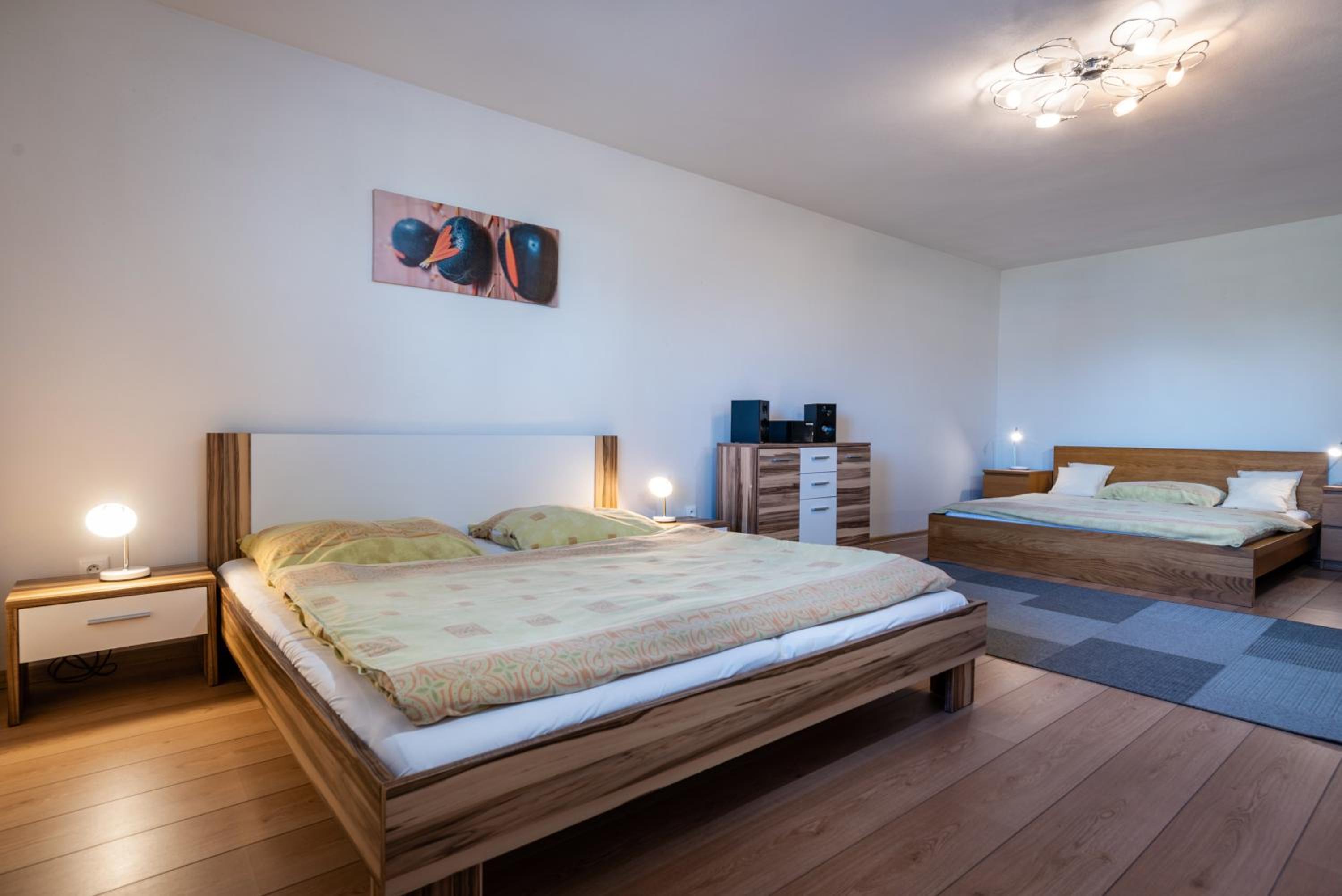 One-Bedroom Apartment with Extra bed photo 1