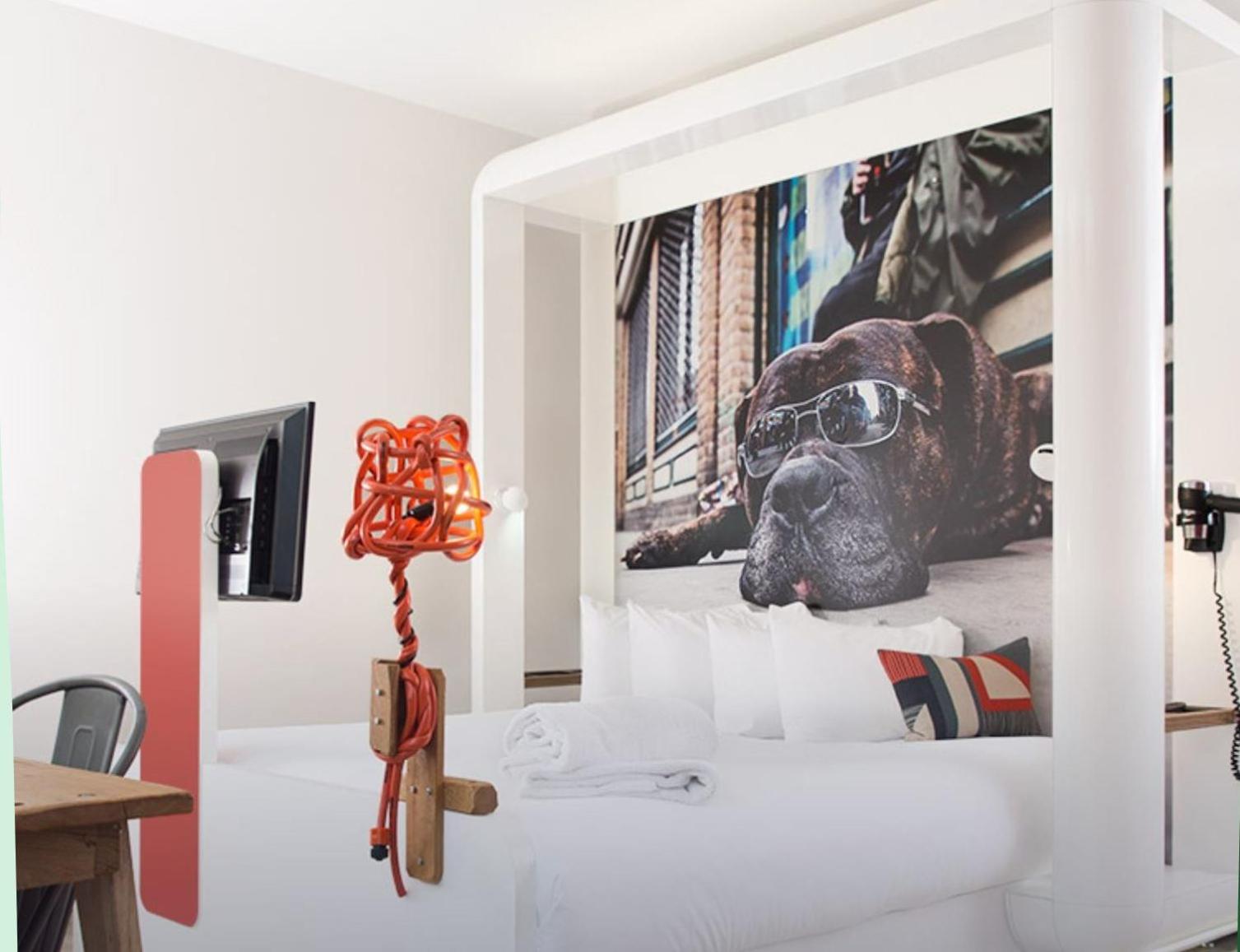 Superior Double Room photo 1