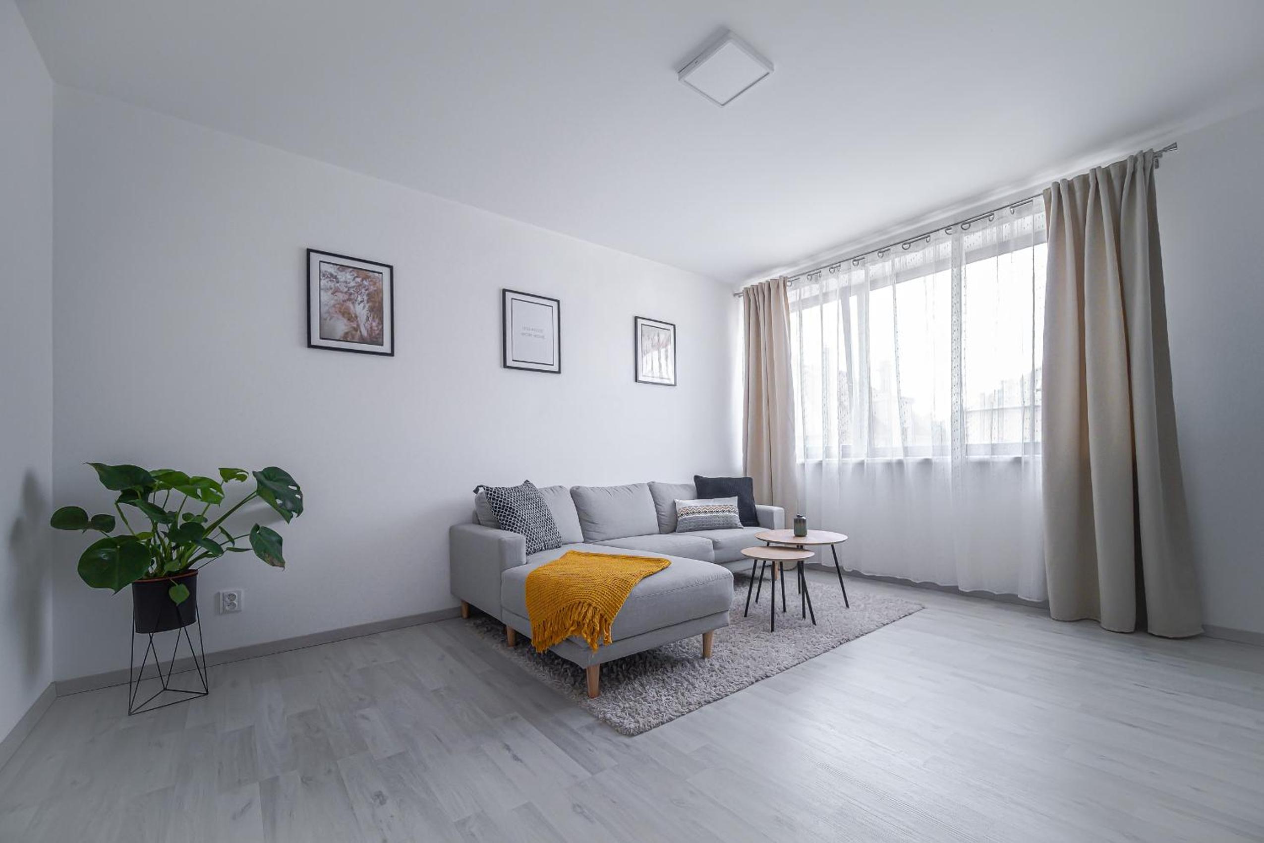 One-Bedroom Apartment photo 2