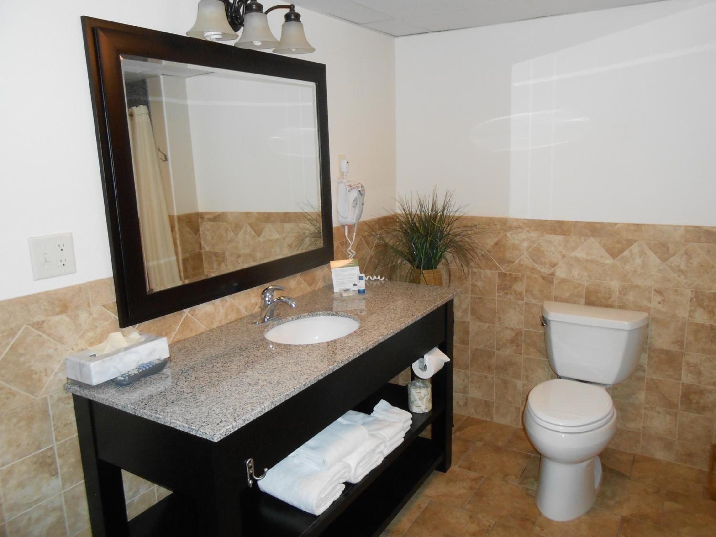 Deluxe King Room with Roll-in Shower - Mobility Access/Non-Smoking - Photo 4