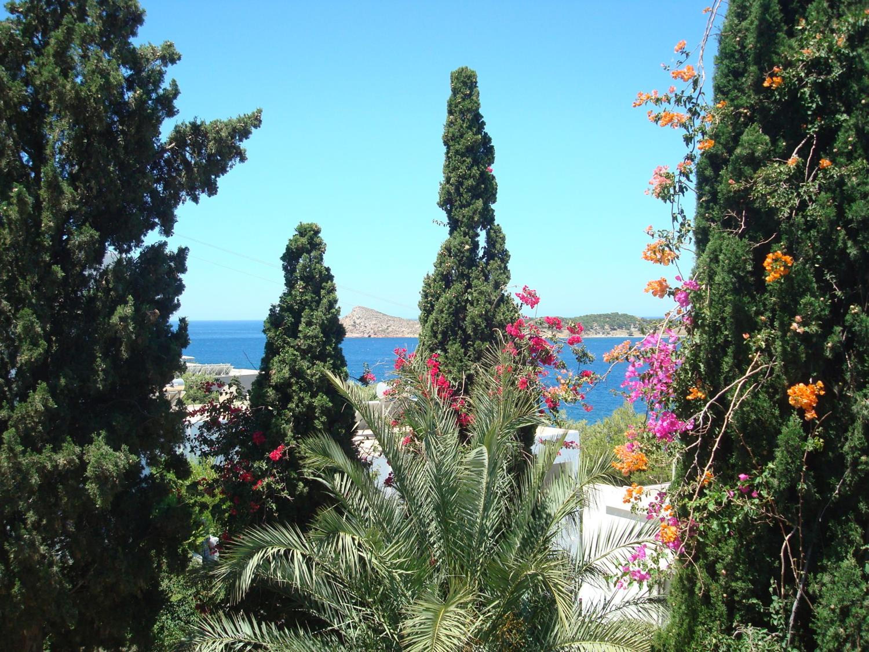 Studio with Sea View - Photo 15
