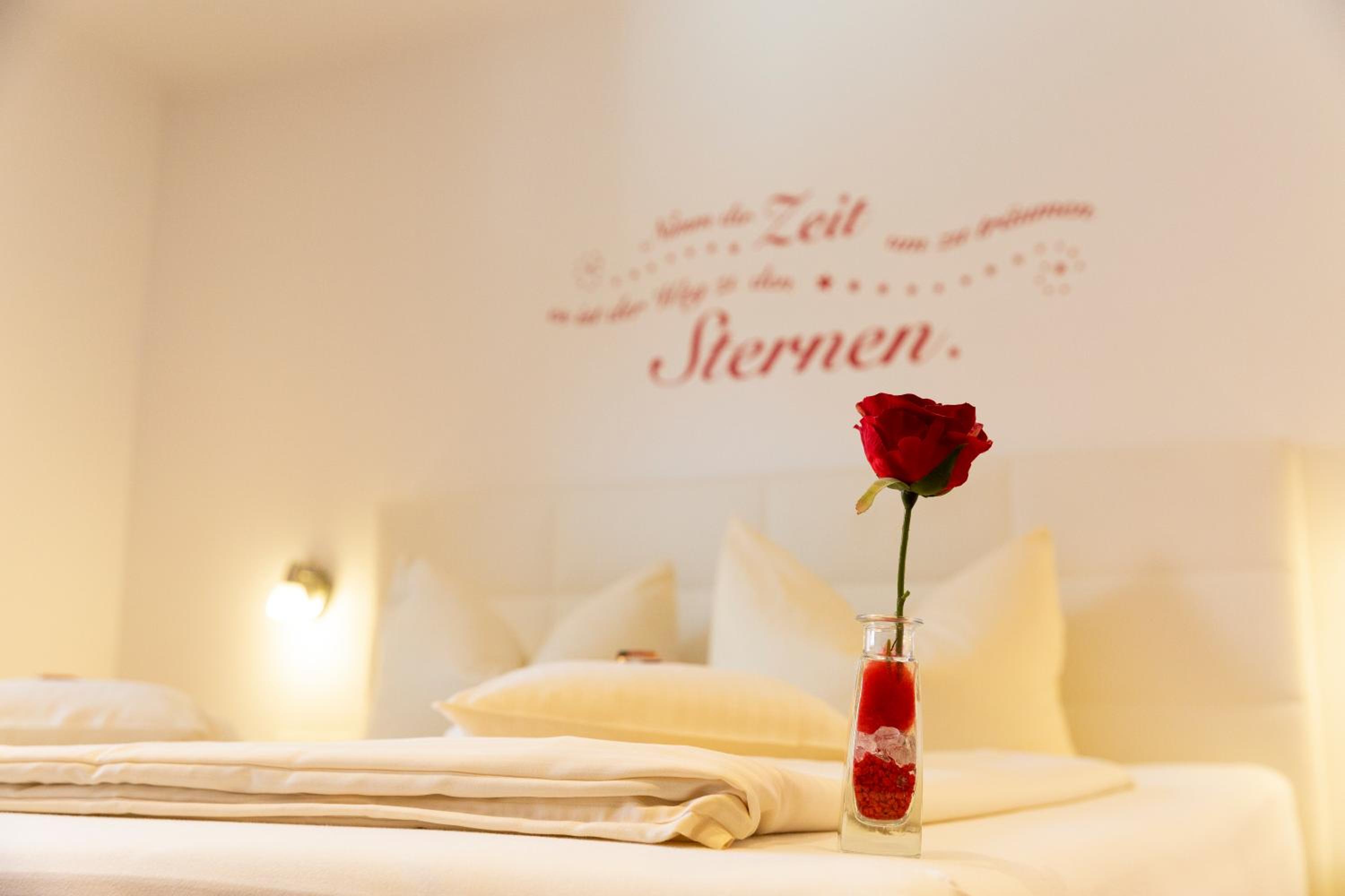 Comfort Double Room (1 Adult)