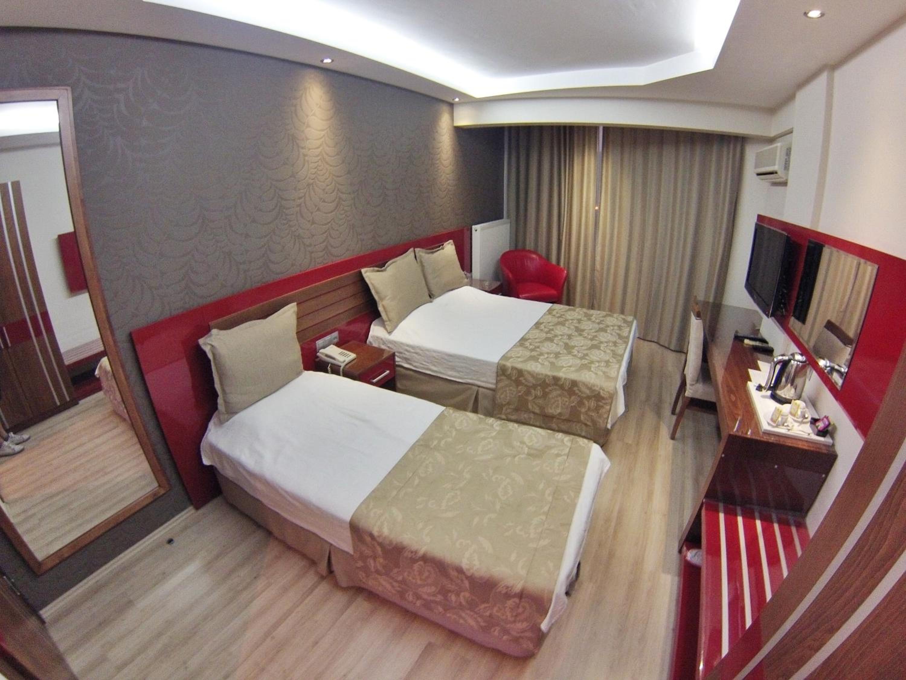 Deluxe Double or Twin Room photo 3