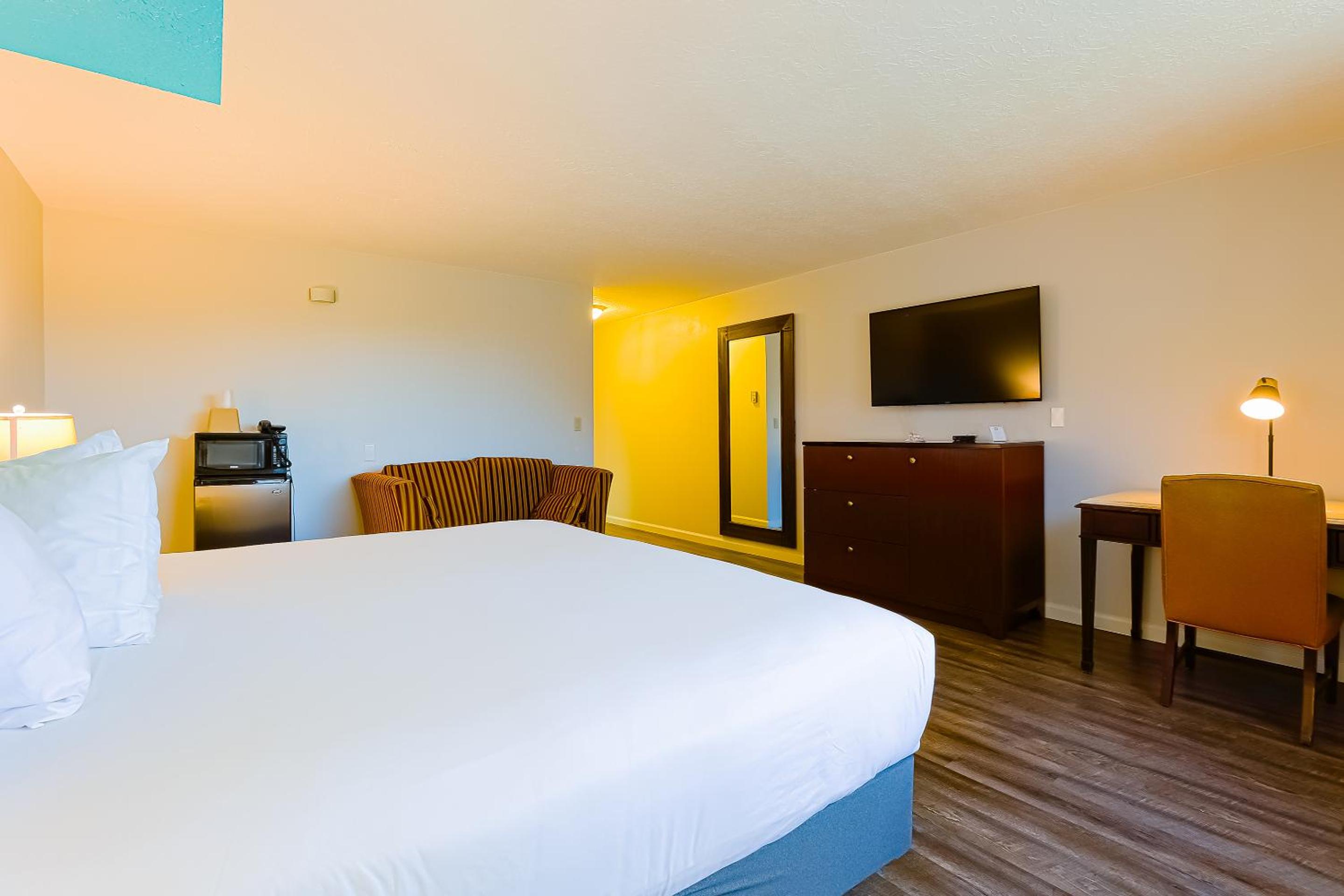 King Room photo 2