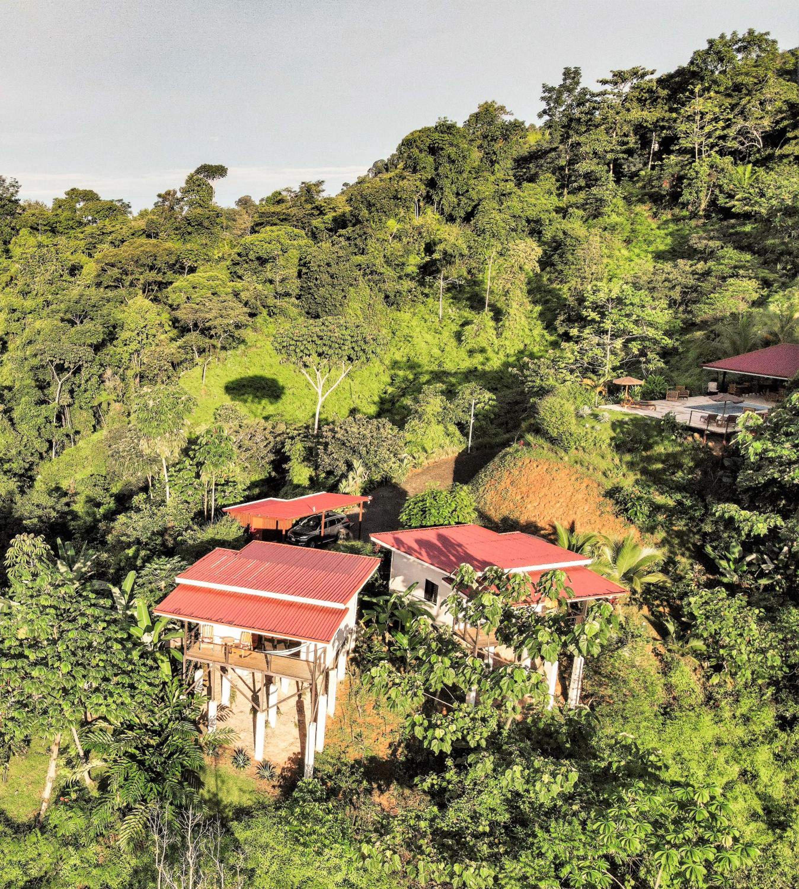 Jungle and Mountain View Villa photo 2