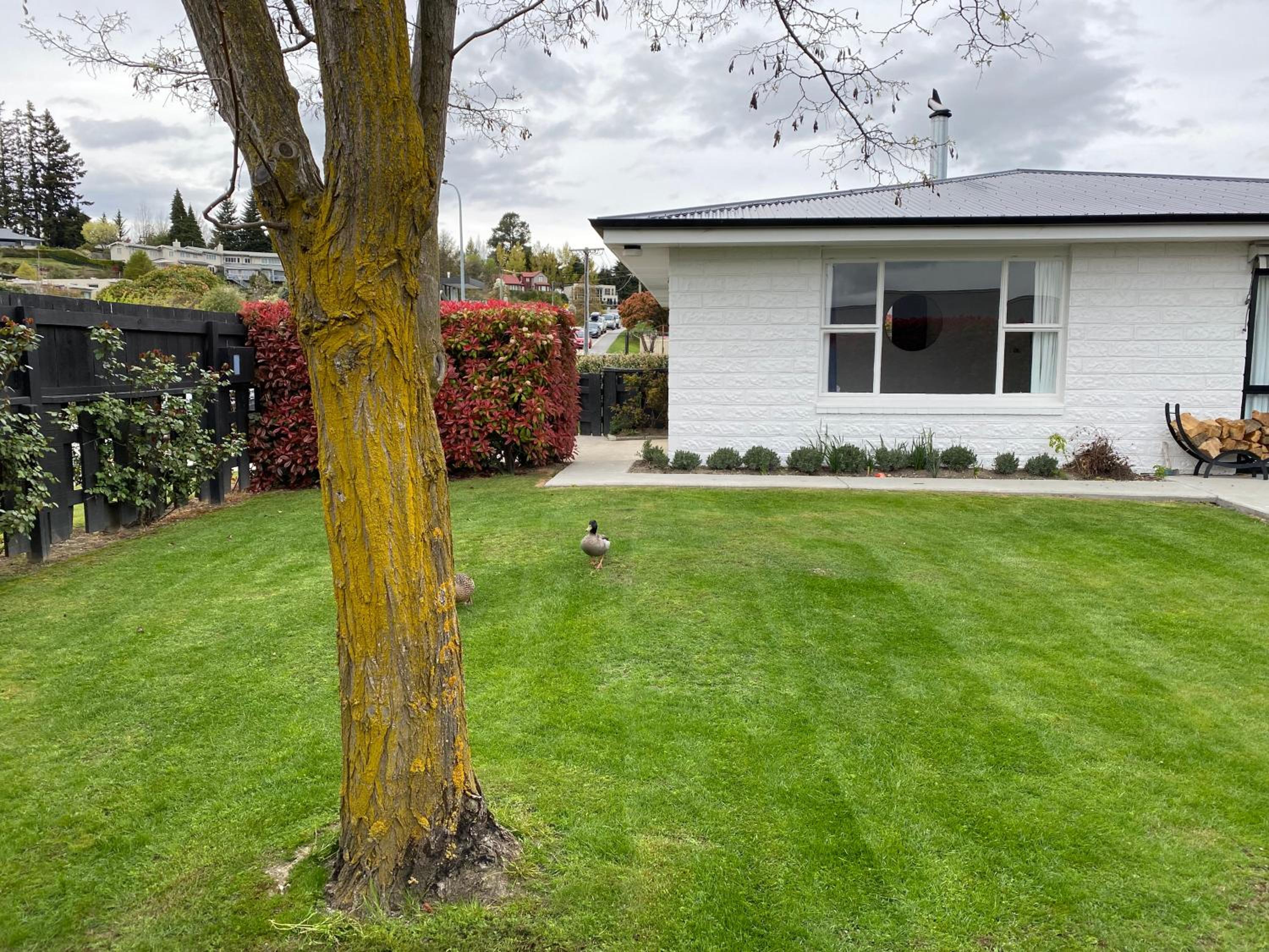Four-Bedroom House - Photo 20