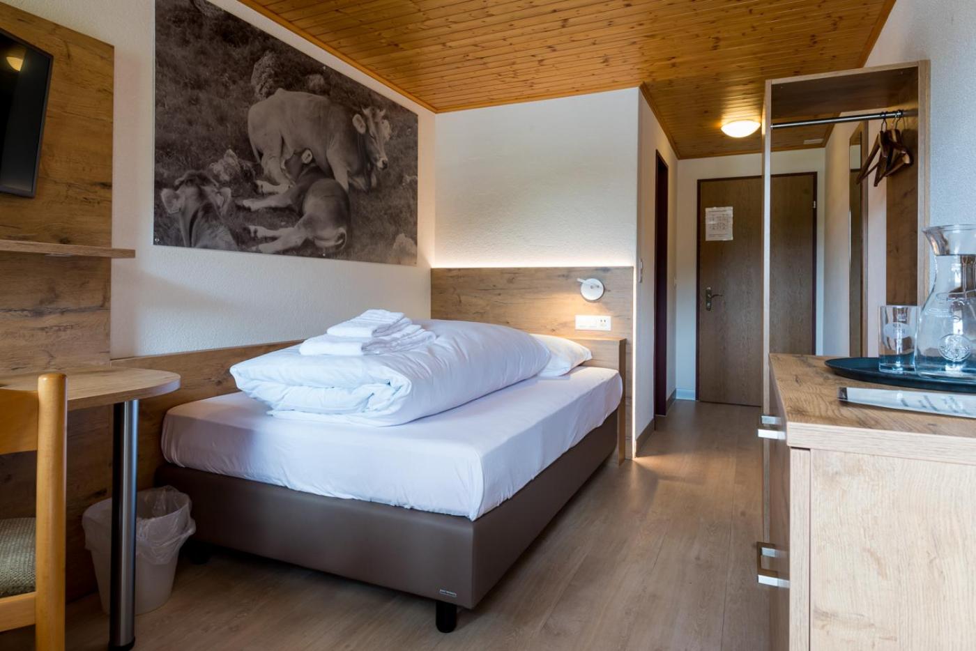 Single Room photo 1