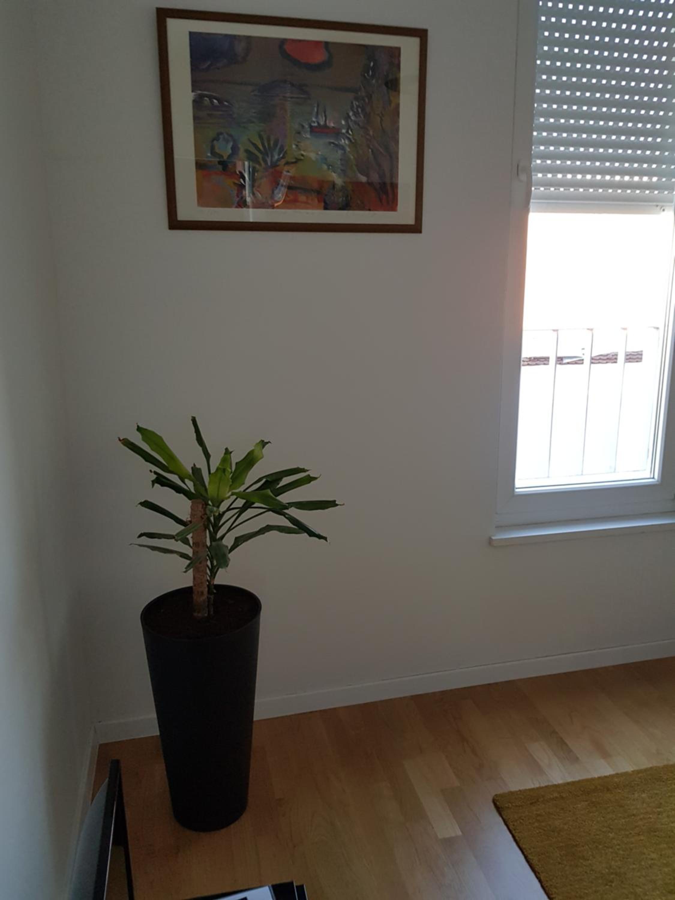 Apartment with Garden View - Photo 12
