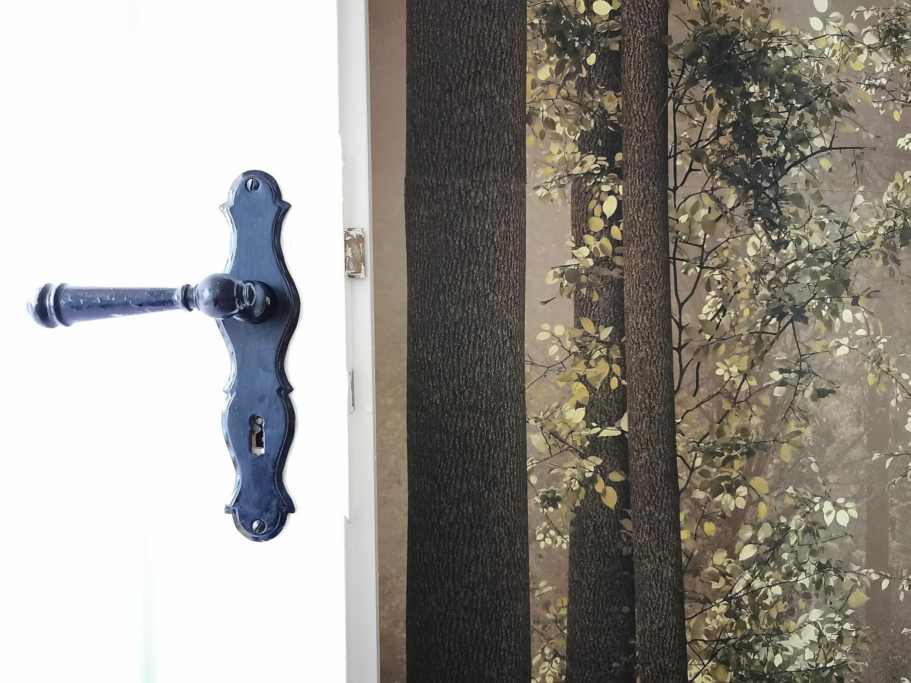 Apartment - Photo 8