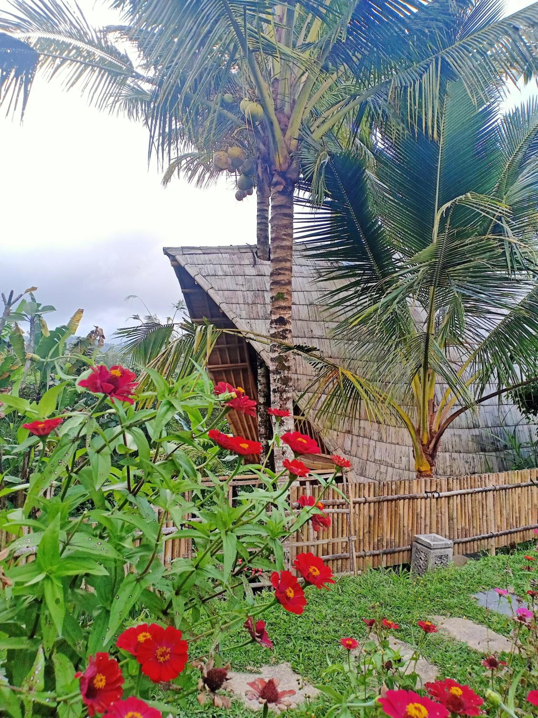 Villa with Garden View - Photo 73