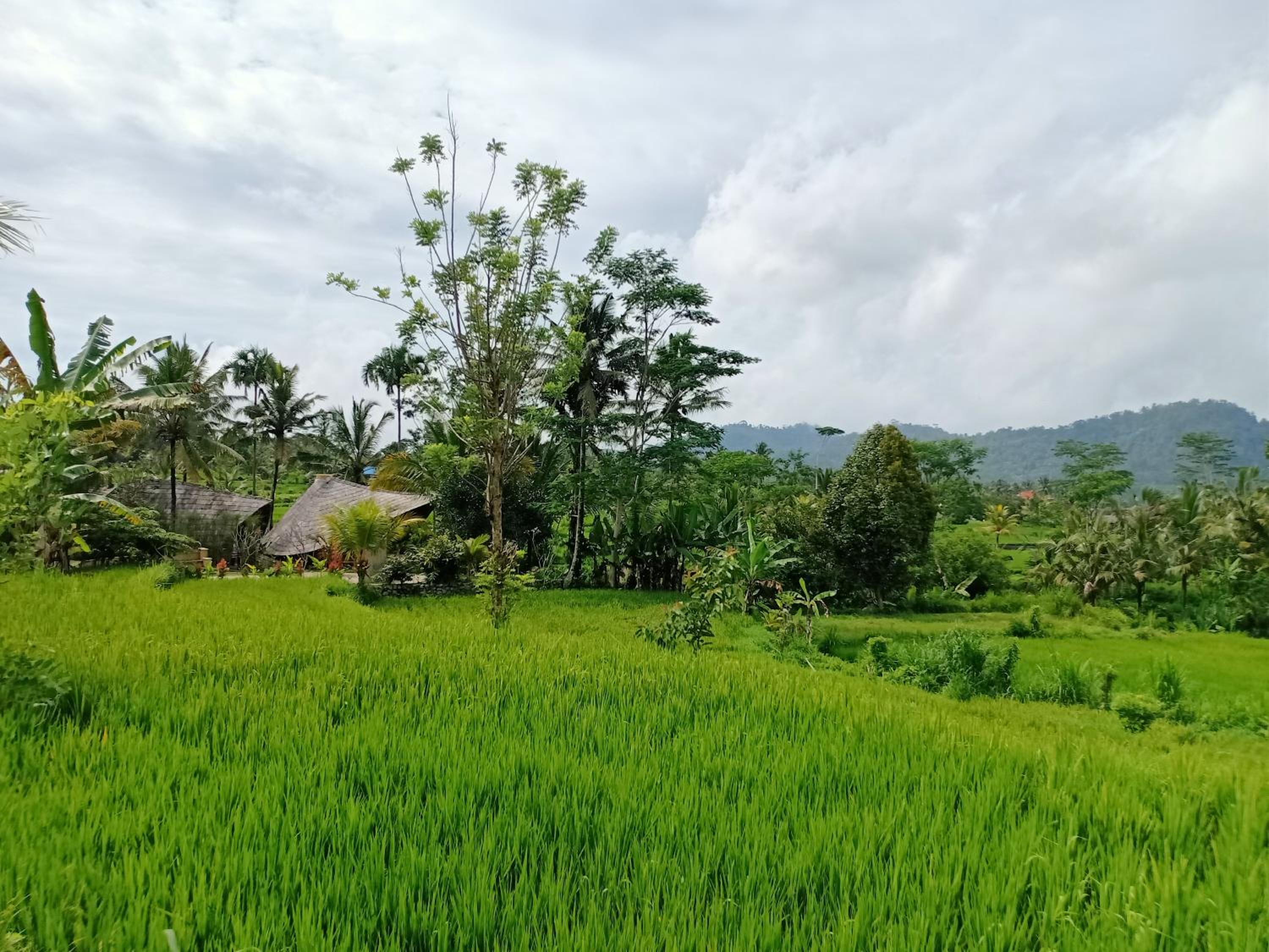 Villa with Garden View - Photo 6