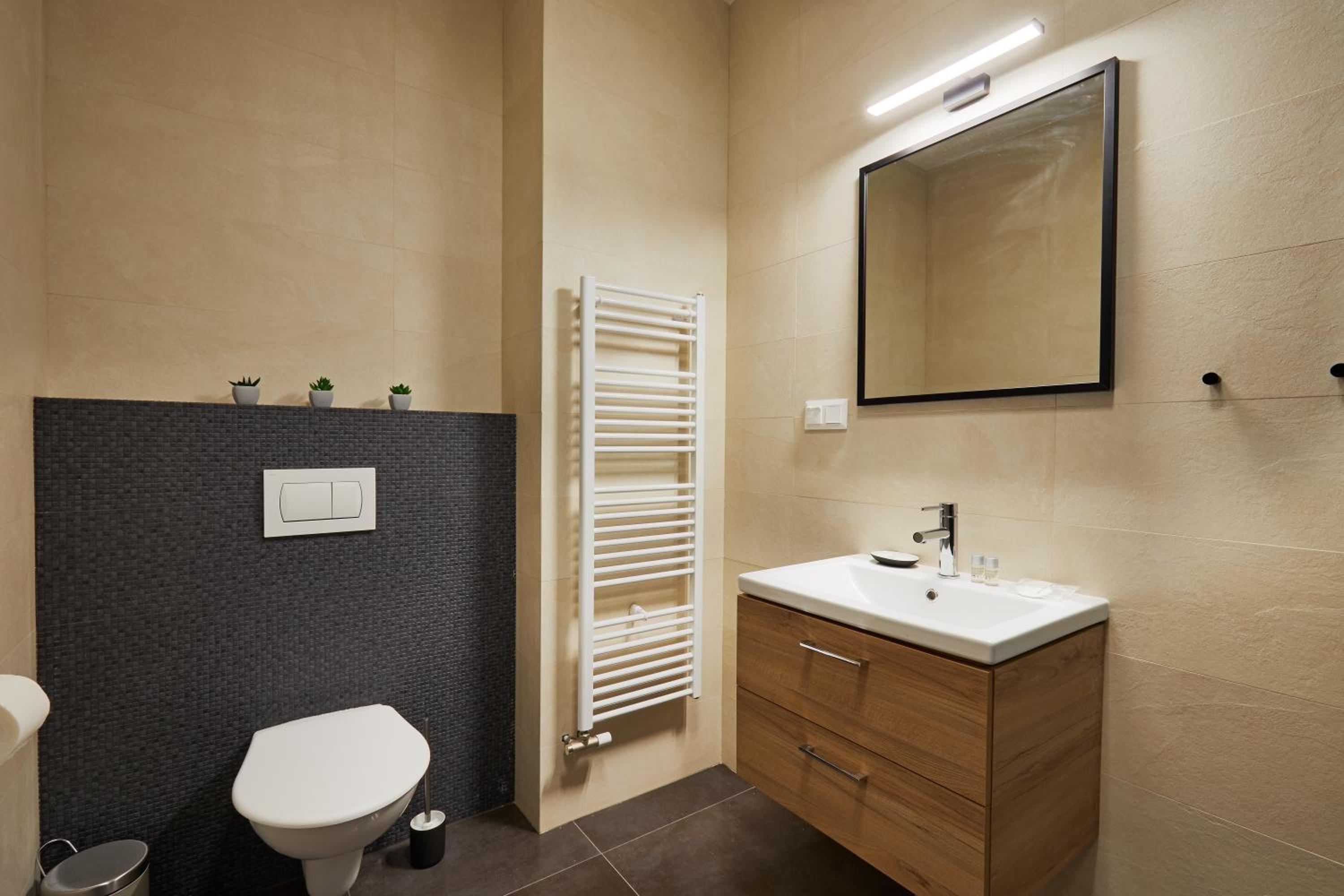 Deluxe Double or Twin Room - Photo 15