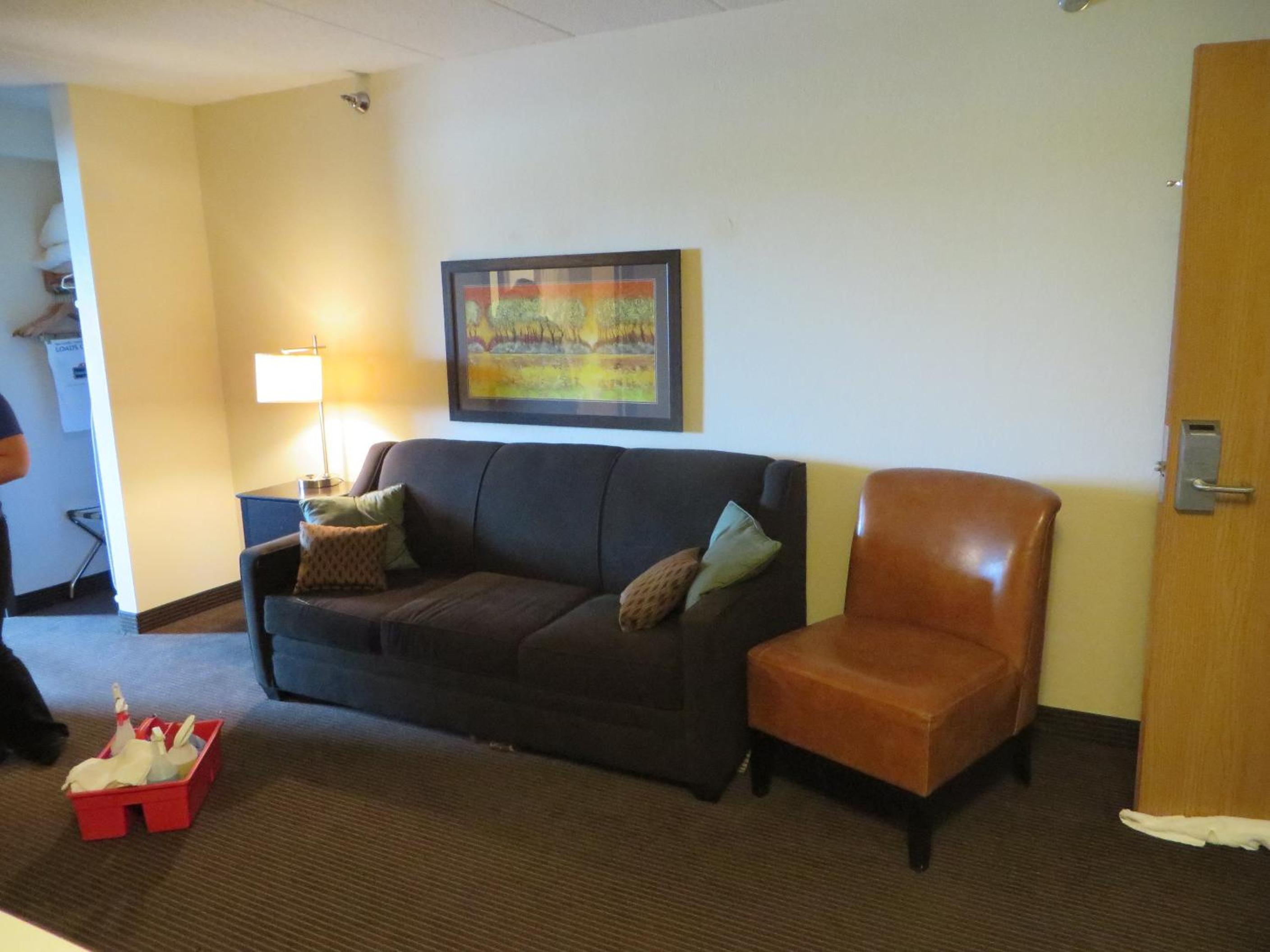 One-Bedroom King Suite - Non-Smoking