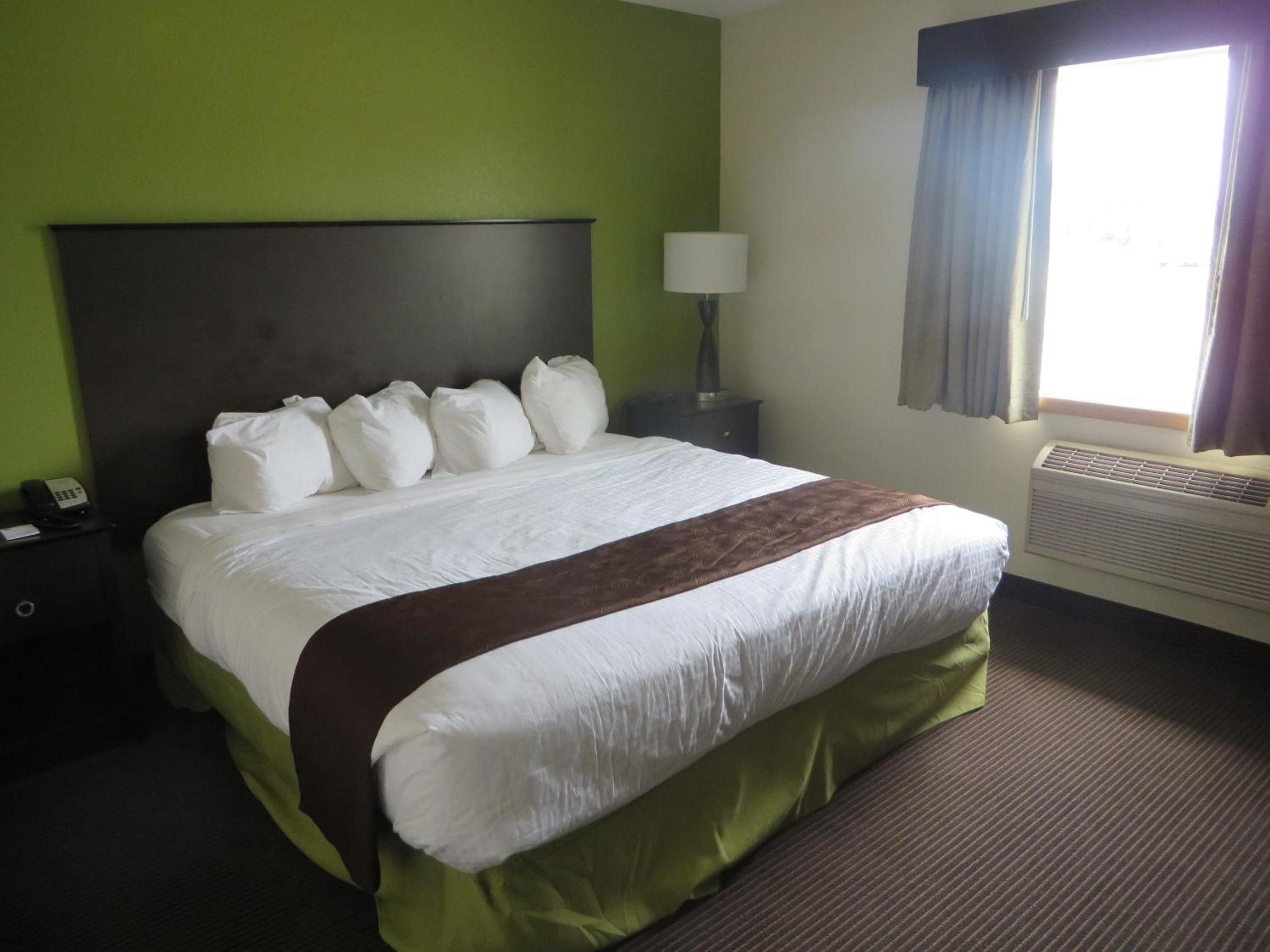 Premier One-Bedroom King Suite - Non-Smoking photo 1
