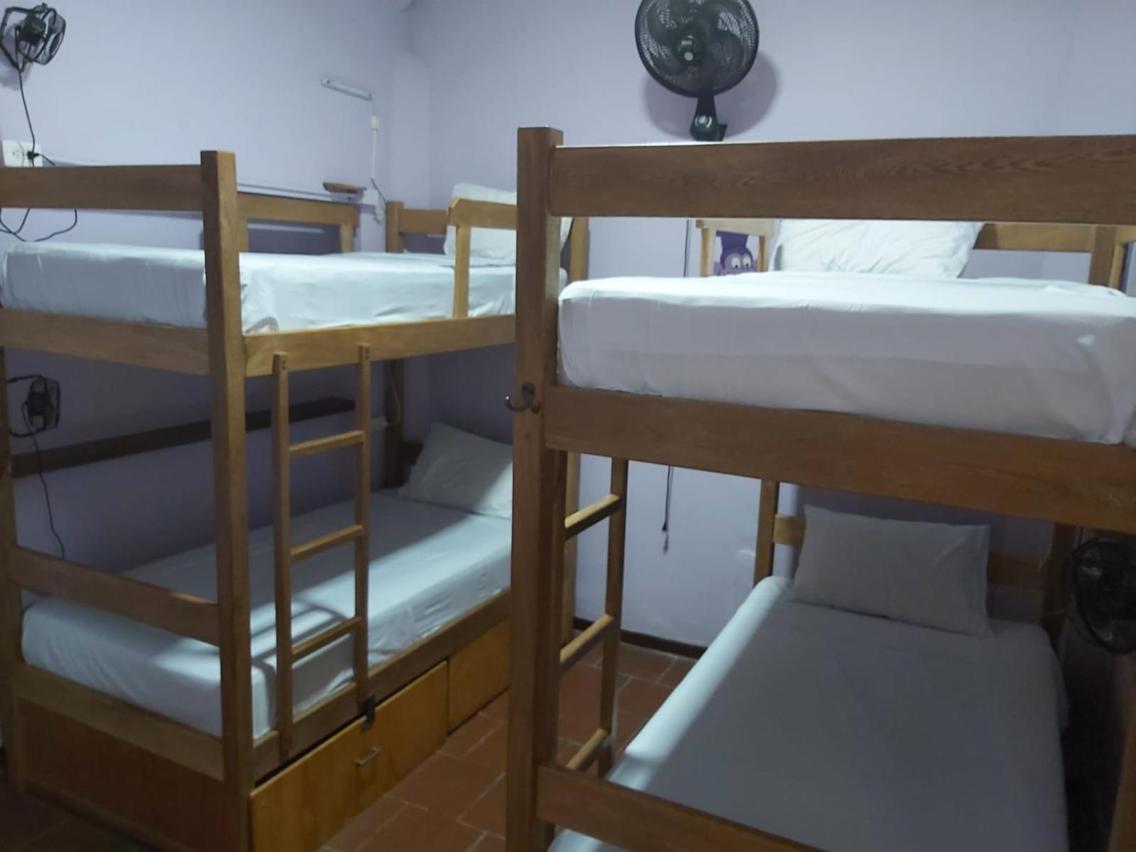 Bed in 4-Bed Mixed Dormitory Room photo 2