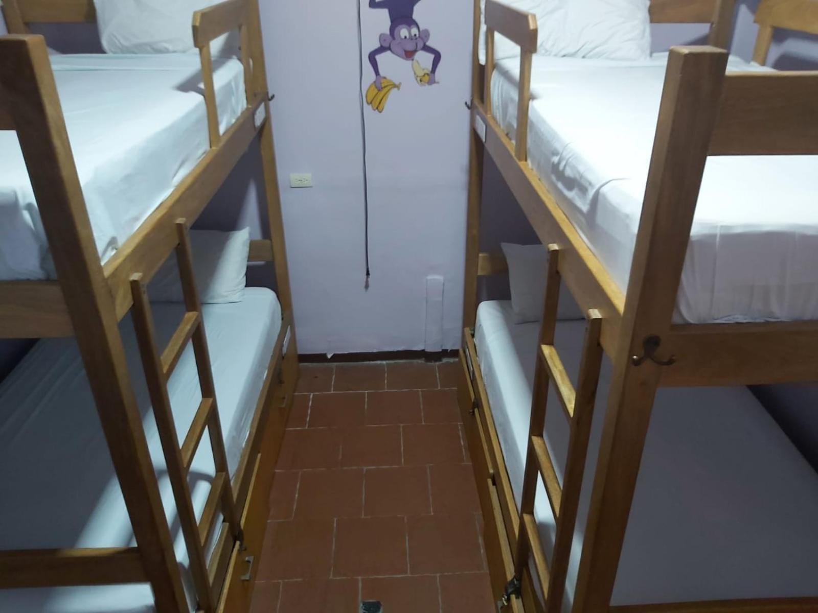 Bed in 4-Bed Mixed Dormitory Room photo 3