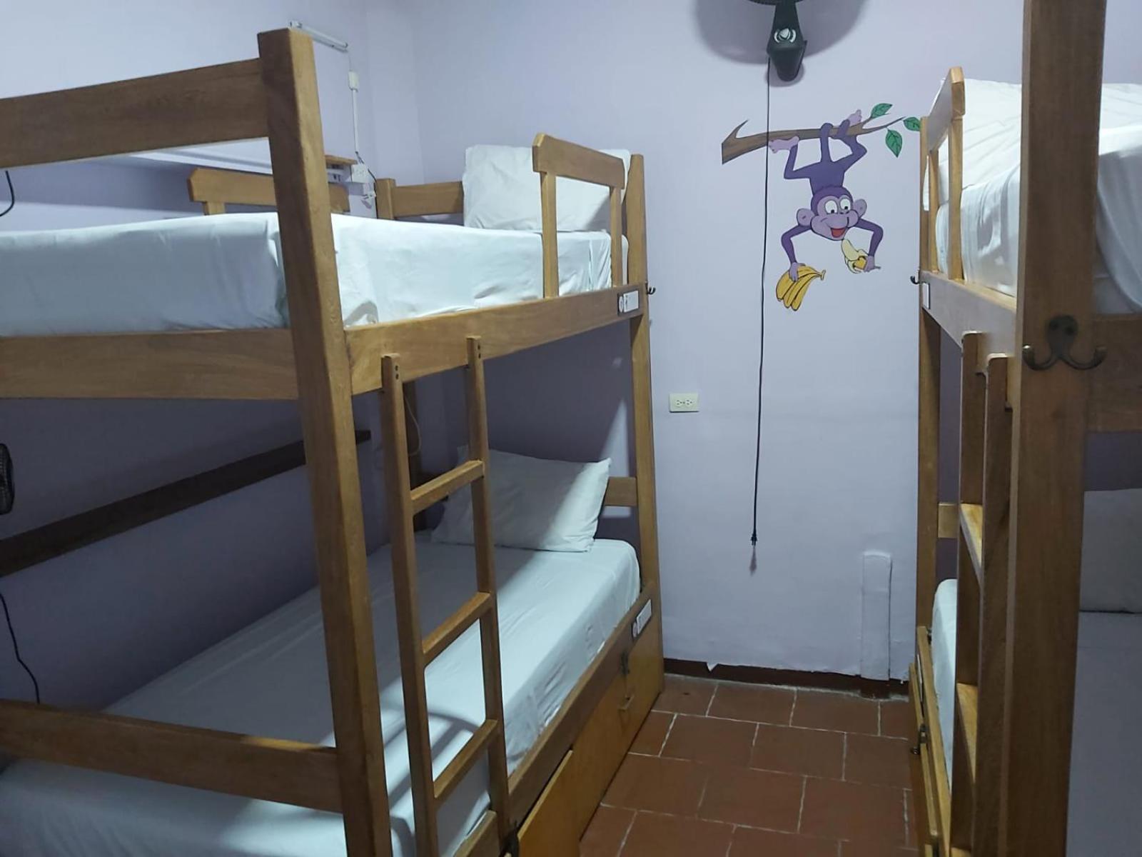 Bed in 4-Bed Mixed Dormitory Room photo 1