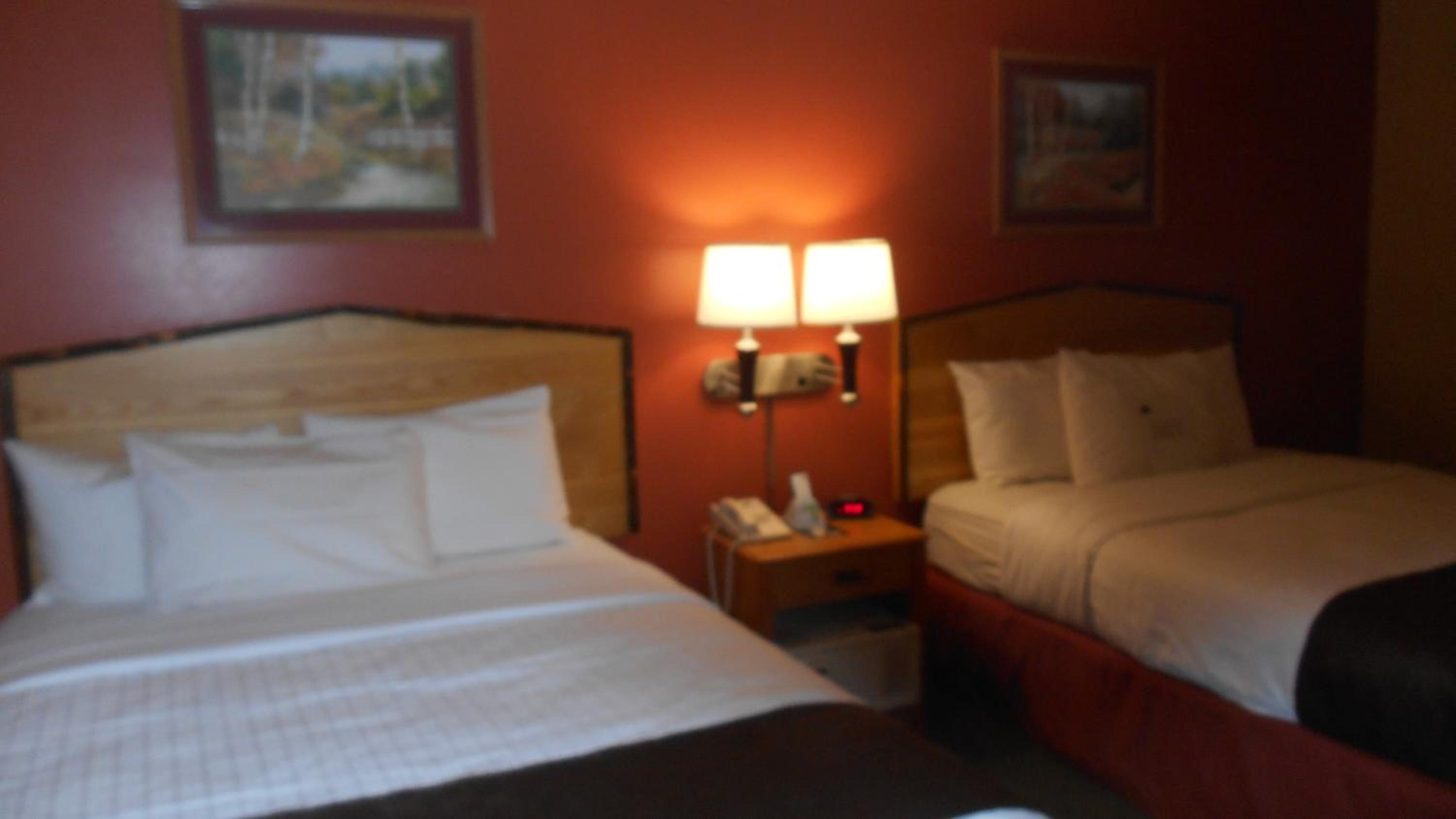 Queen Room with Two Queen Beds - Non-Smoking photo 1