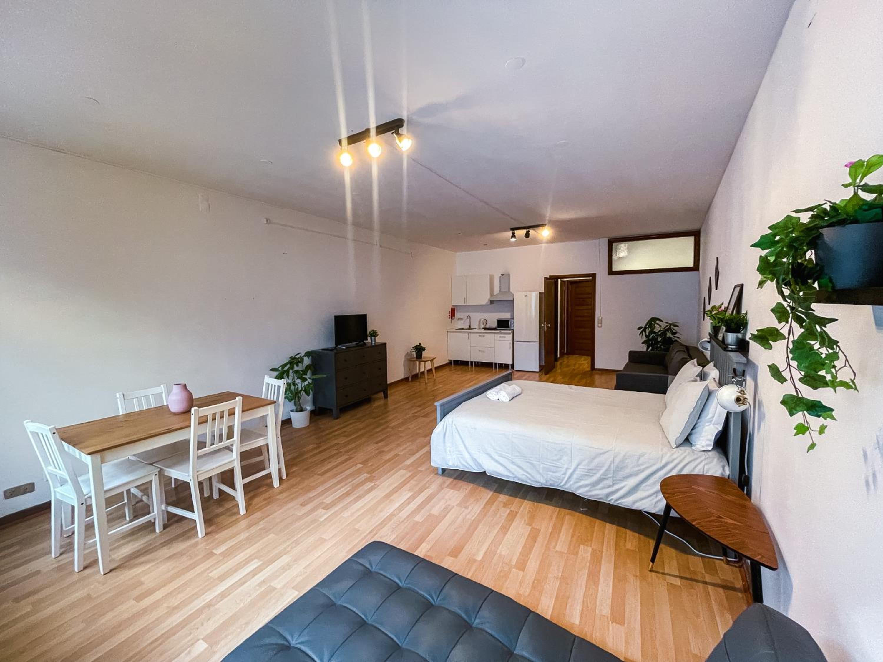 Studio Apartment - Photo 1