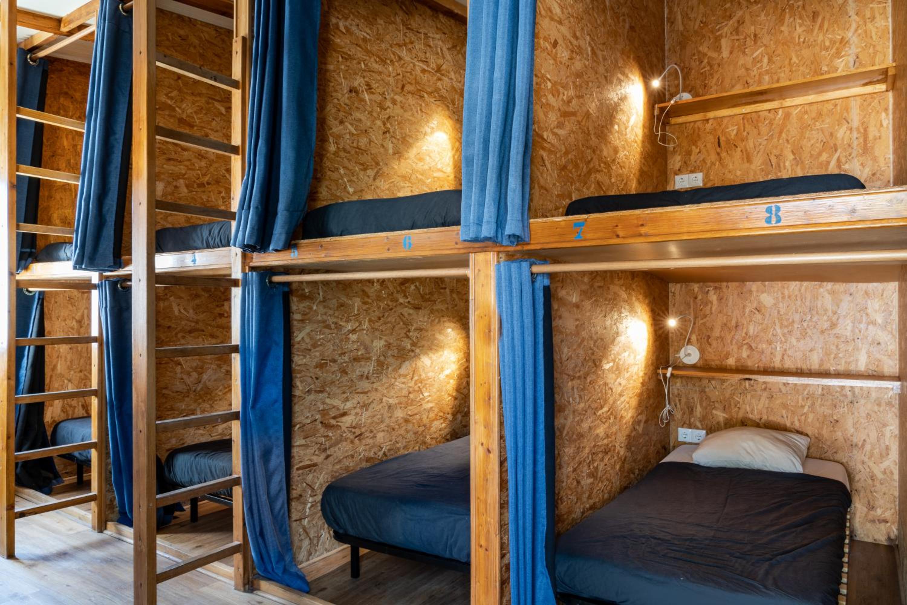 Single Bed in 10-Bed Dormitory Room photo 1