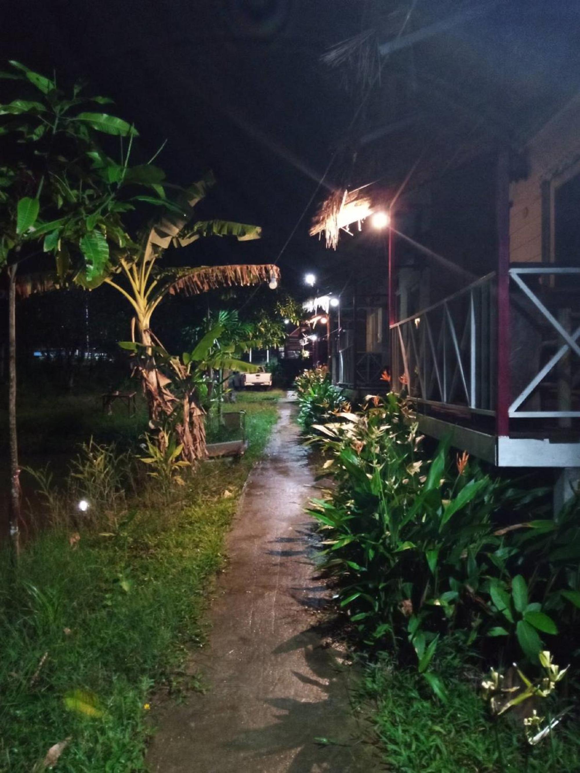 Family Bungalow photo 3