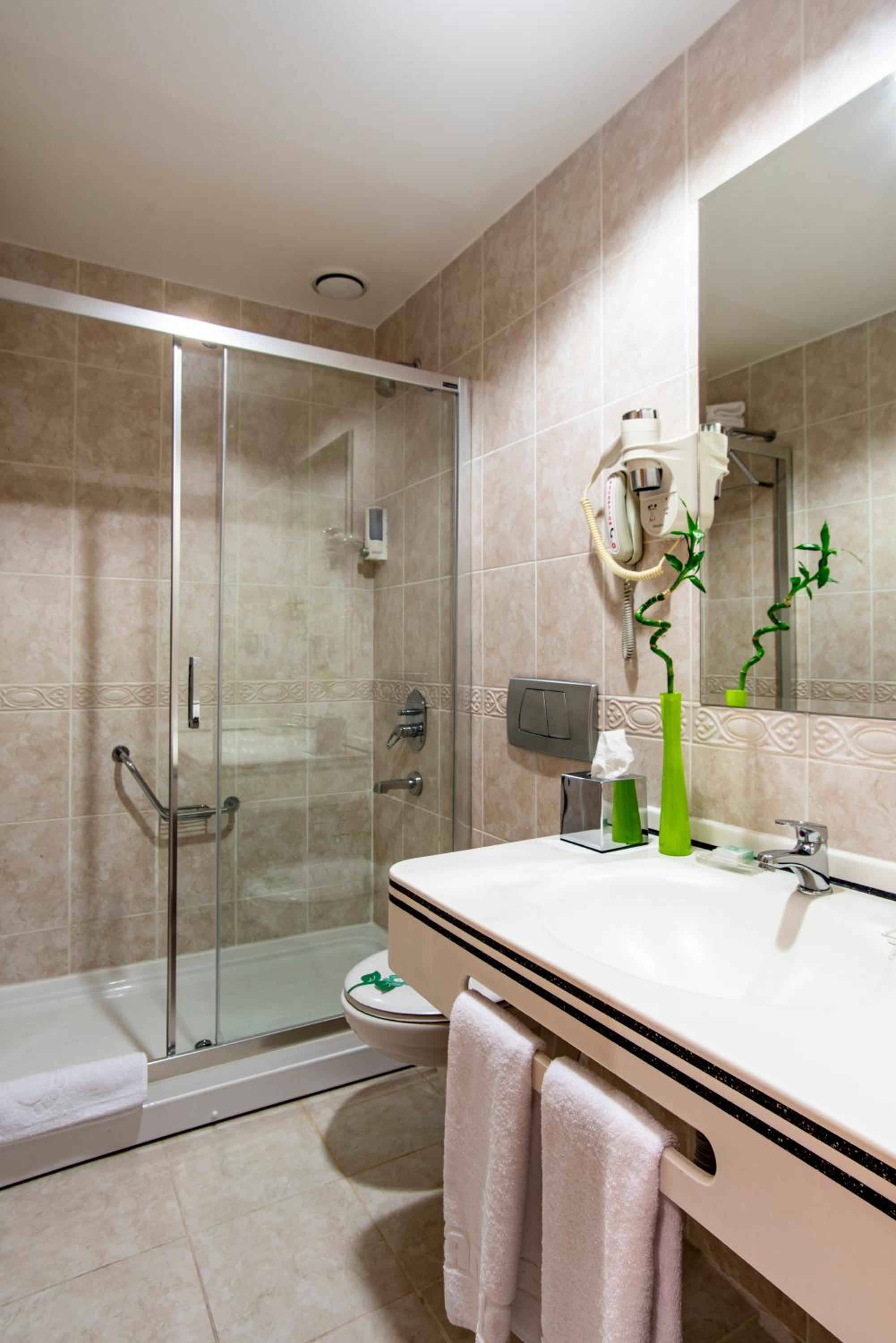 Deluxe Double or Twin Room photo 2