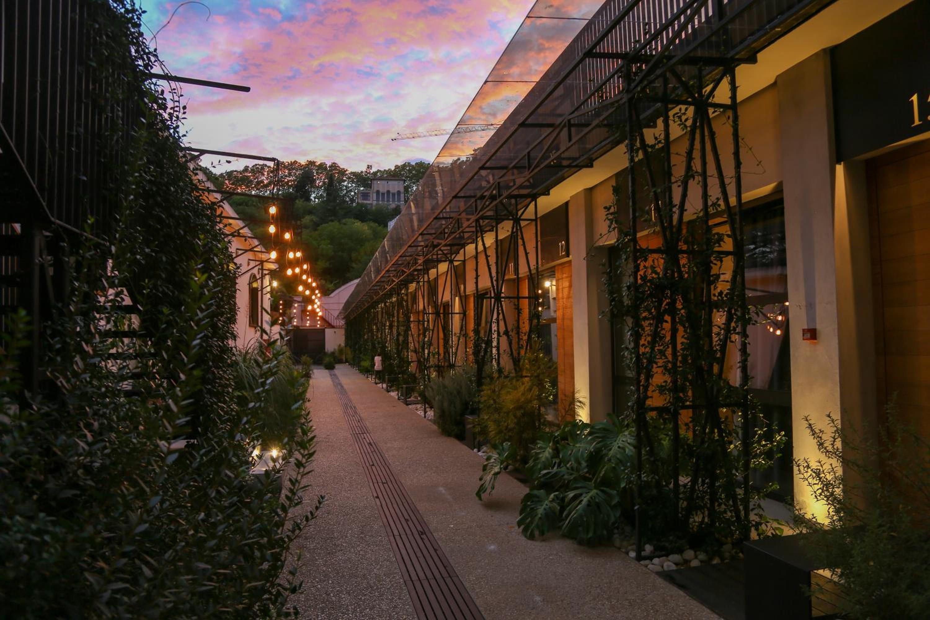Superior Double or Twin Room with Garden View photo 3