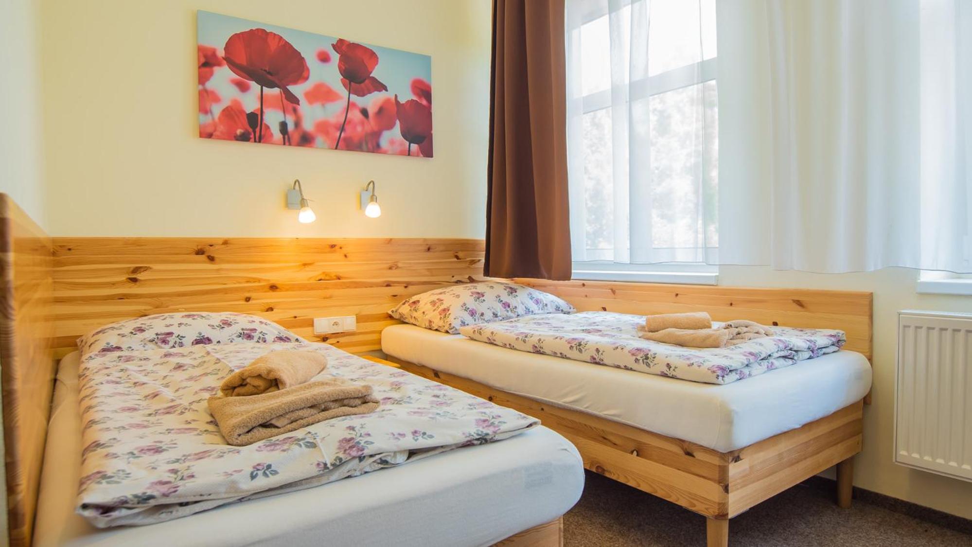 Standard Twin Room with Mountain View photo 1