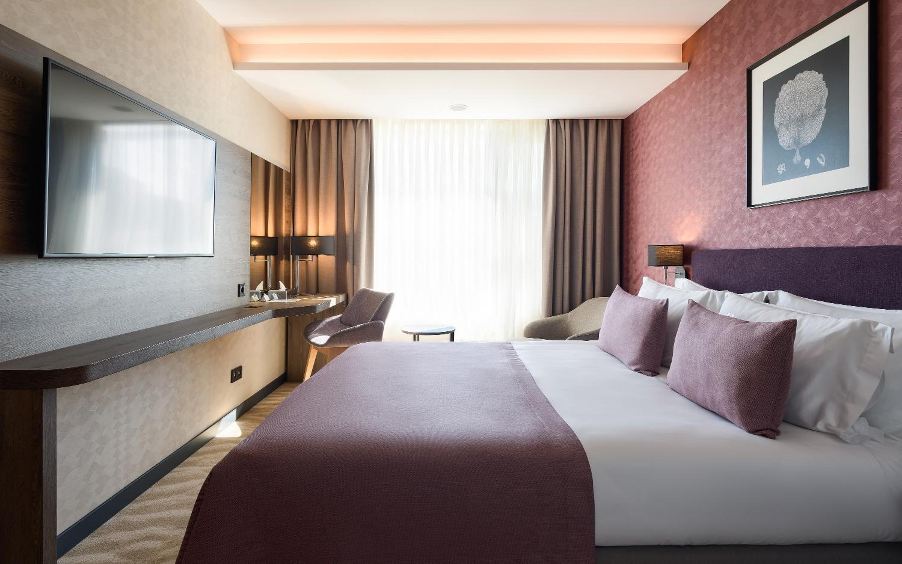 Suite photo 1