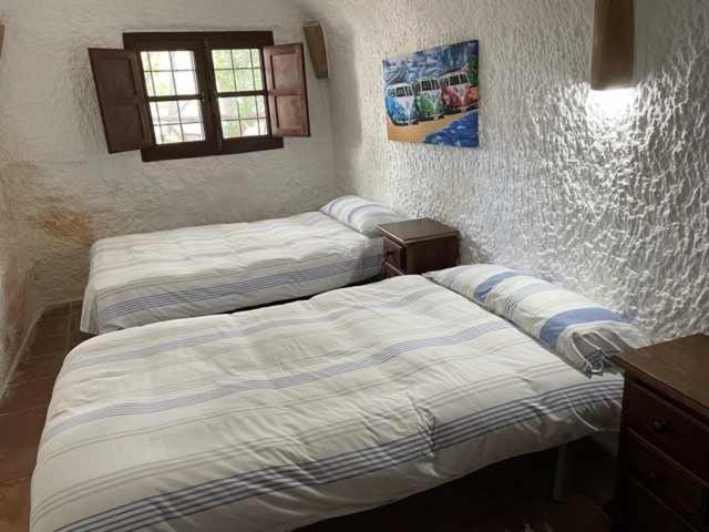 Cueva (6 Adultos)
