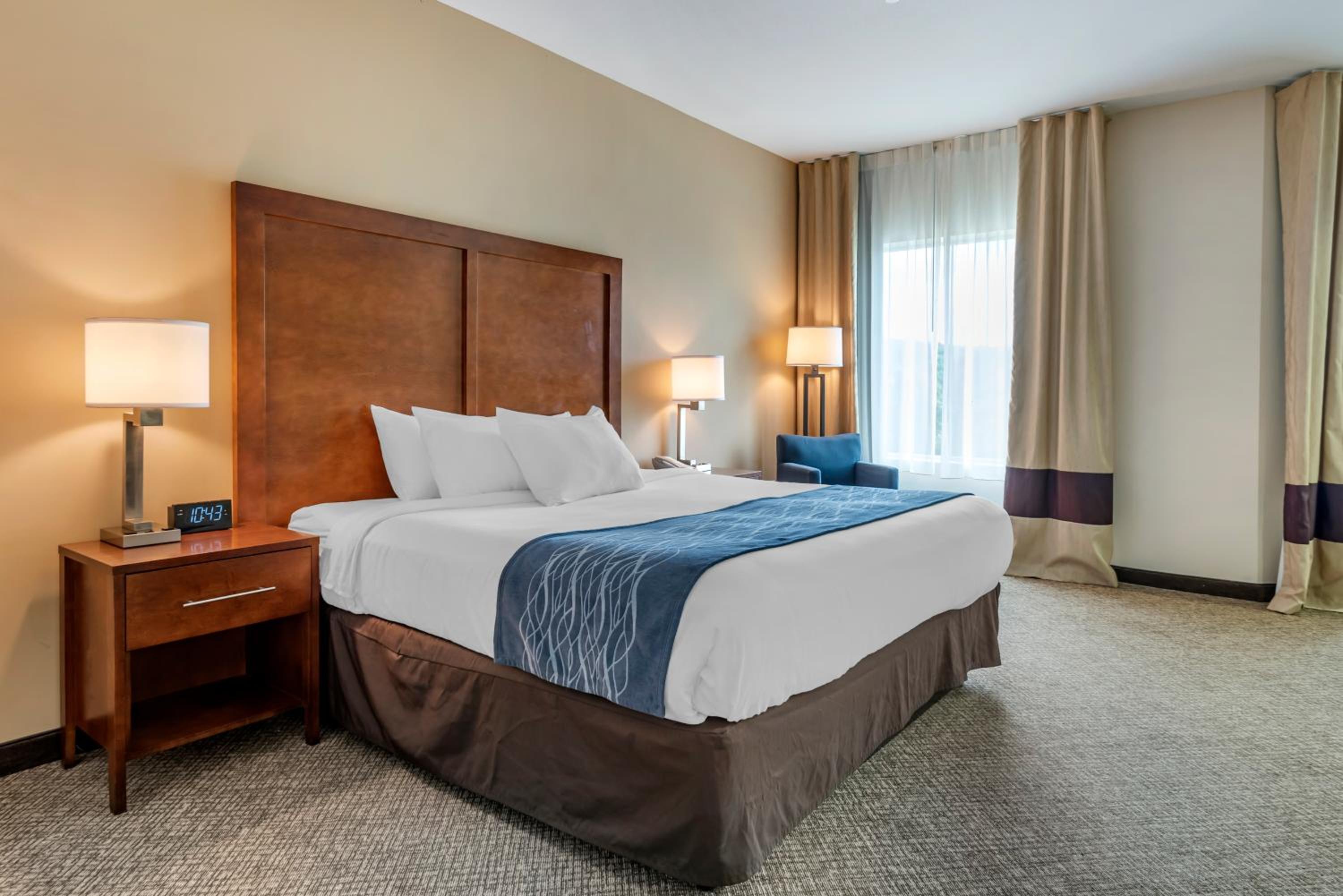 King Suite with Spa Bath photo 3