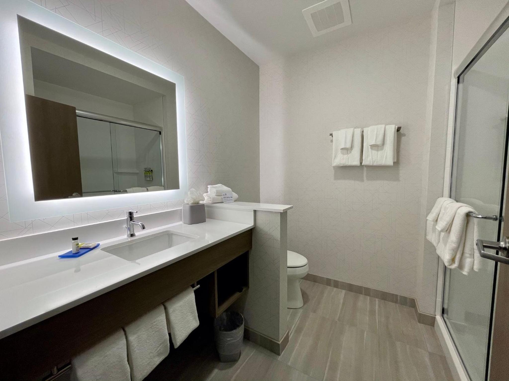 Standard King Room with Walk-In Shower - Photo 3