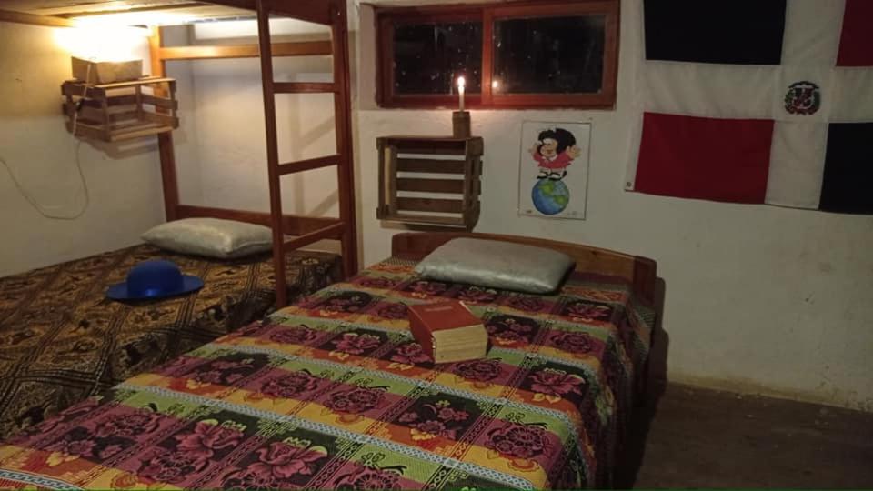 Single Bed in Mixed Dormitory Room photo 3