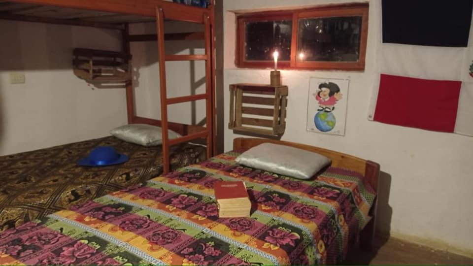 Single Bed in Mixed Dormitory Room photo 2