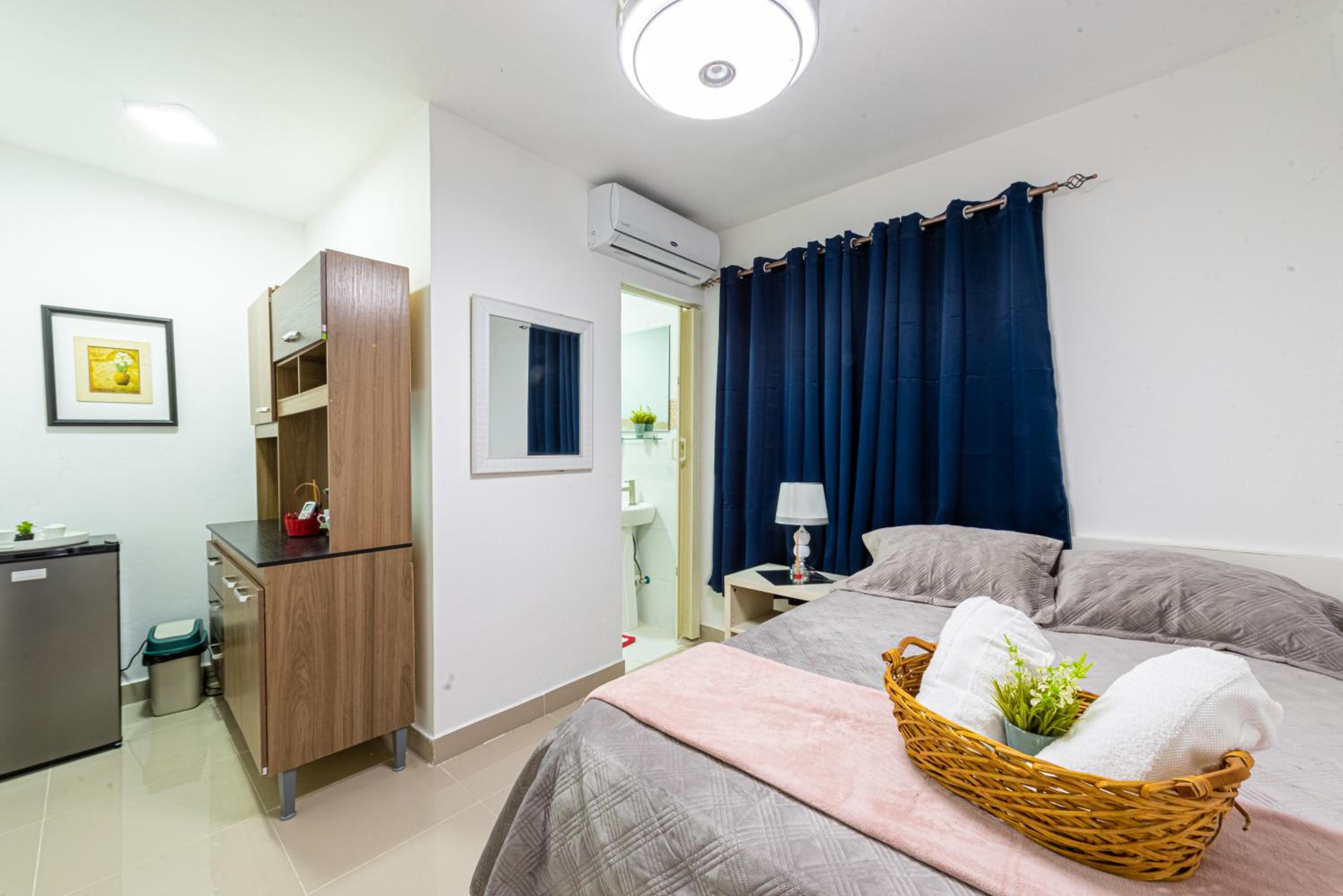 One-Bedroom Apartment photo 3